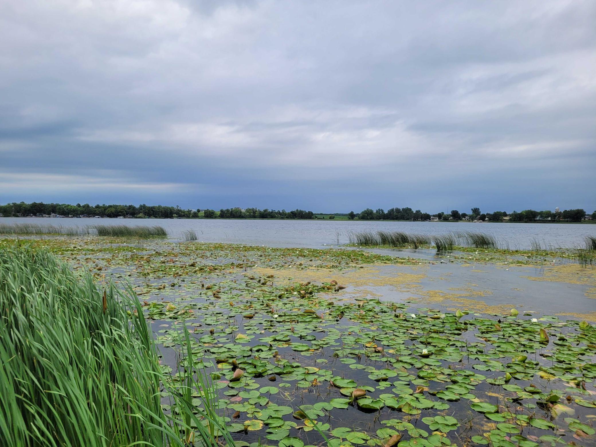 2008 land for sale at 20693 County Highway 21 in Detroit Lakes, MN (photo 18 of 19)
