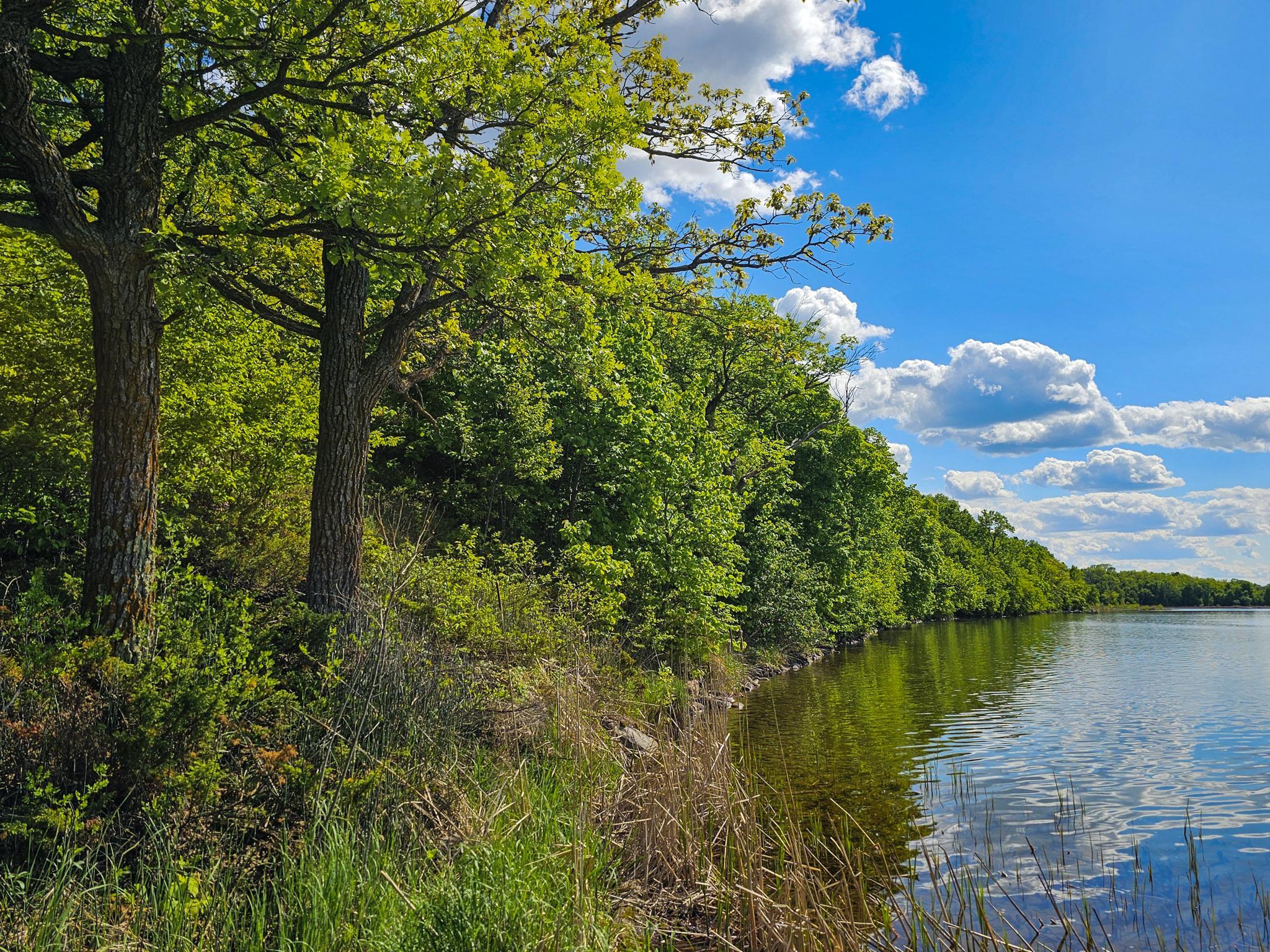 land for sale at 322XX 452nd St [A2] in Vergas, MN (photo 11 of 35)