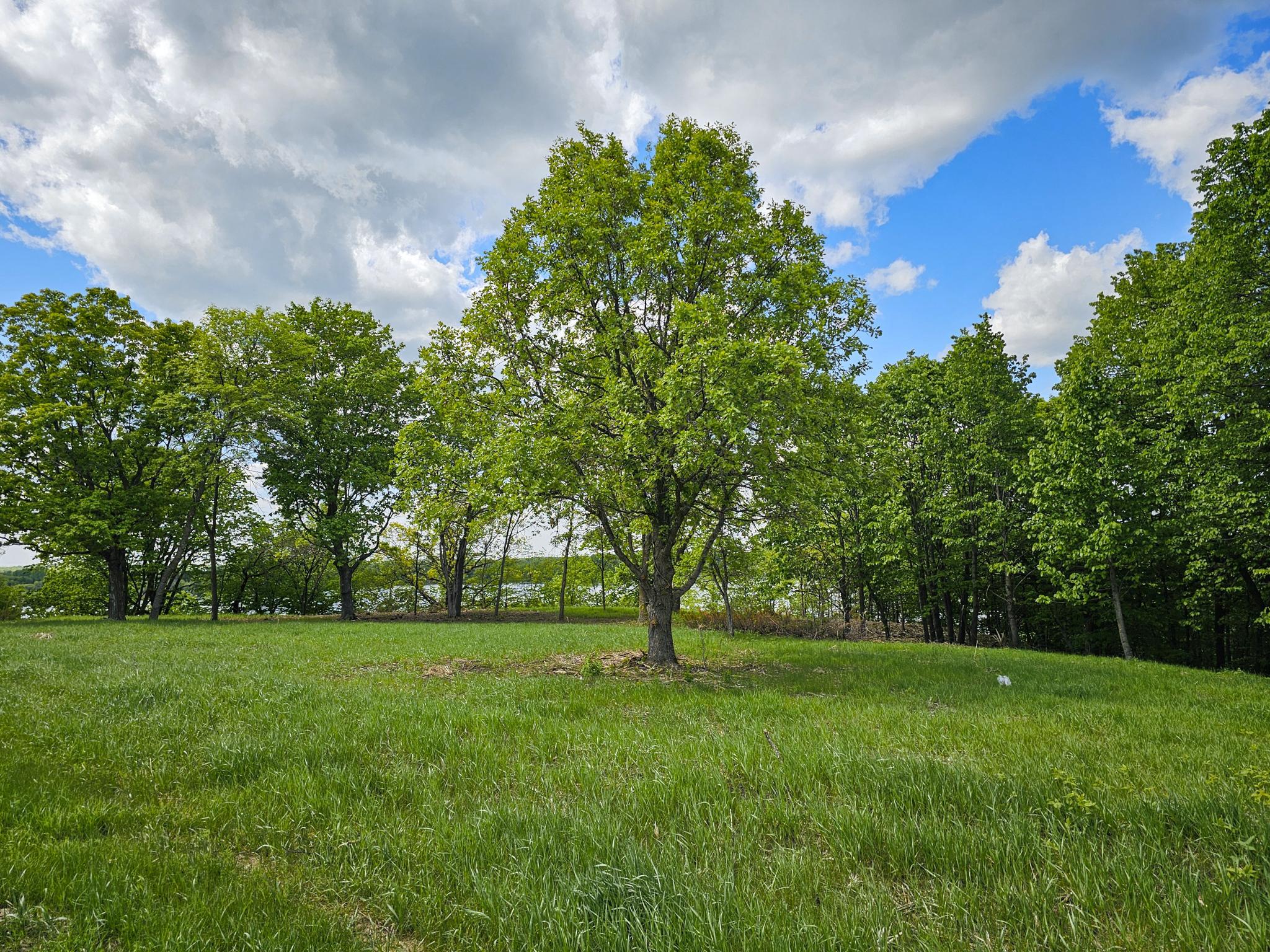 land for sale at 322XX 452nd St [A2] in Vergas, MN (photo 6 of 35)