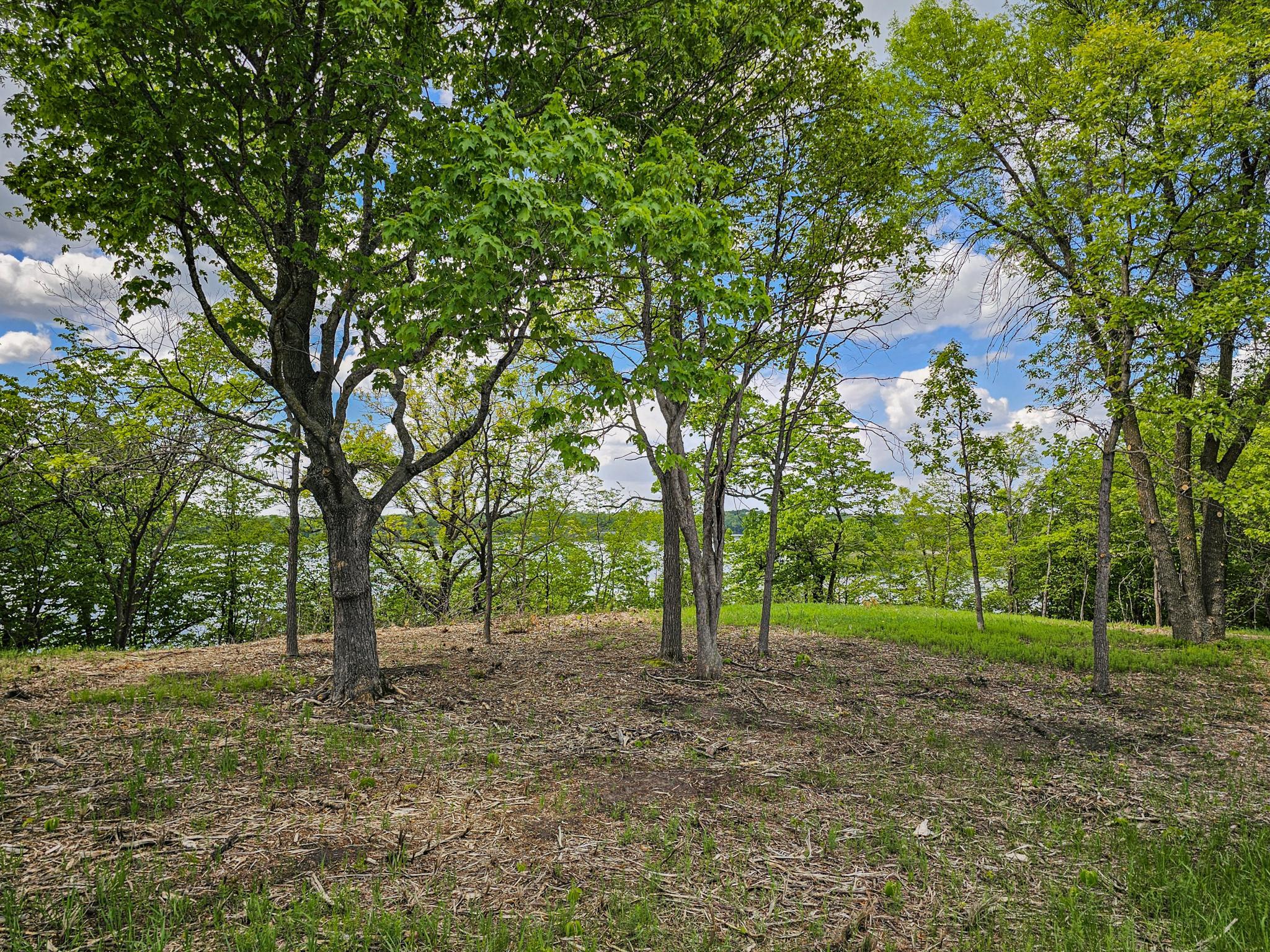 land for sale at 322XX 452nd St [A2] in Vergas, MN (photo 7 of 35)
