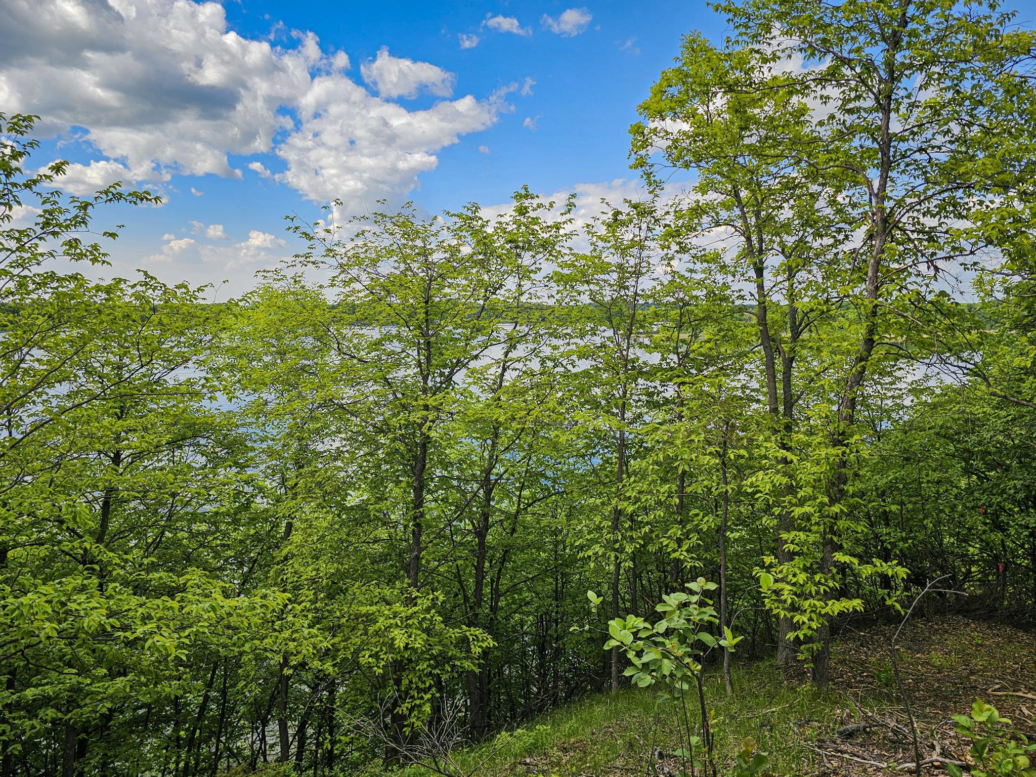 land for sale at 322XX 452nd St [A2] in Vergas, MN (photo 8 of 35)
