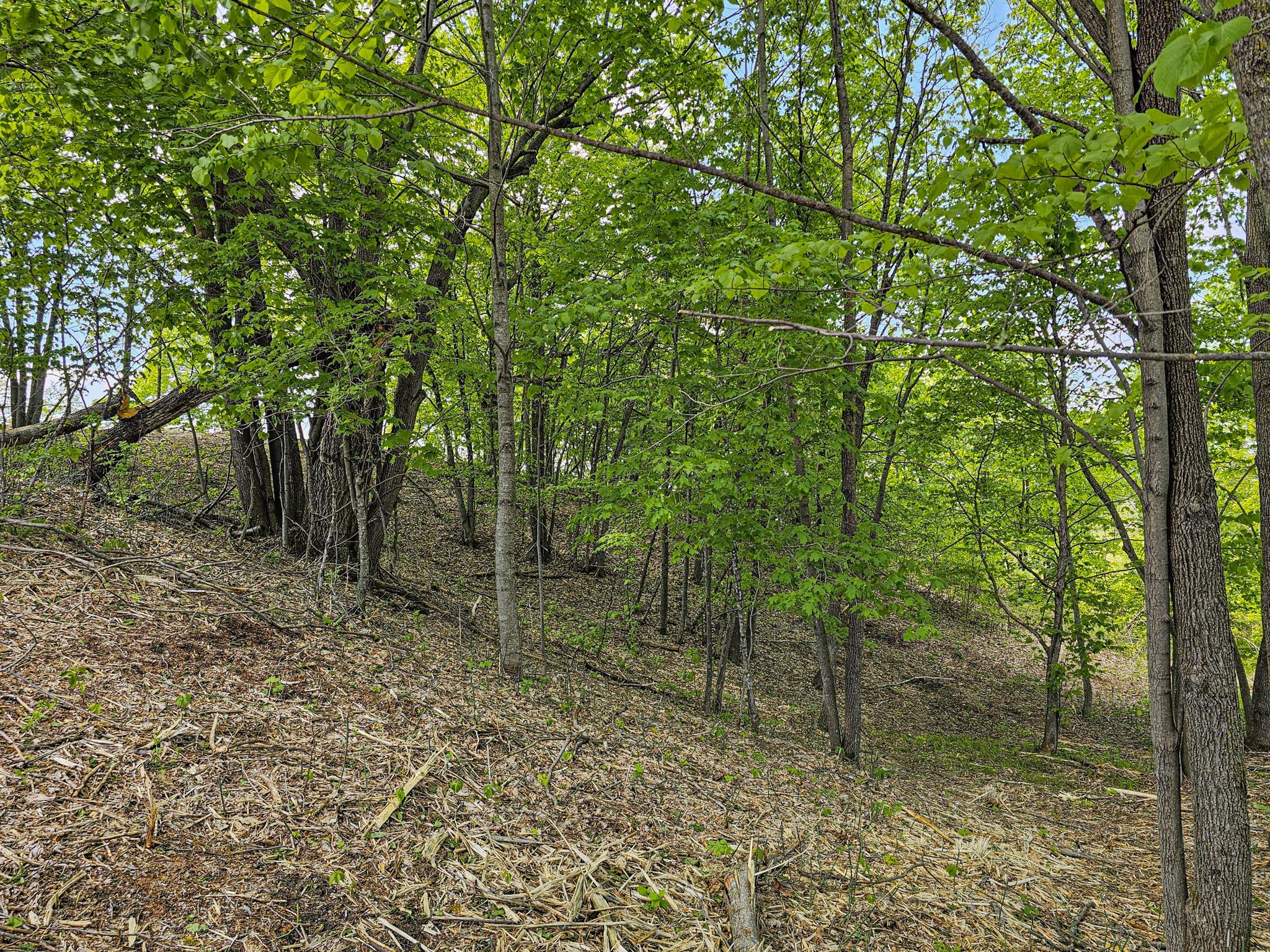land for sale at 322XX 452nd St [A2] in Vergas, MN (photo 10 of 35)