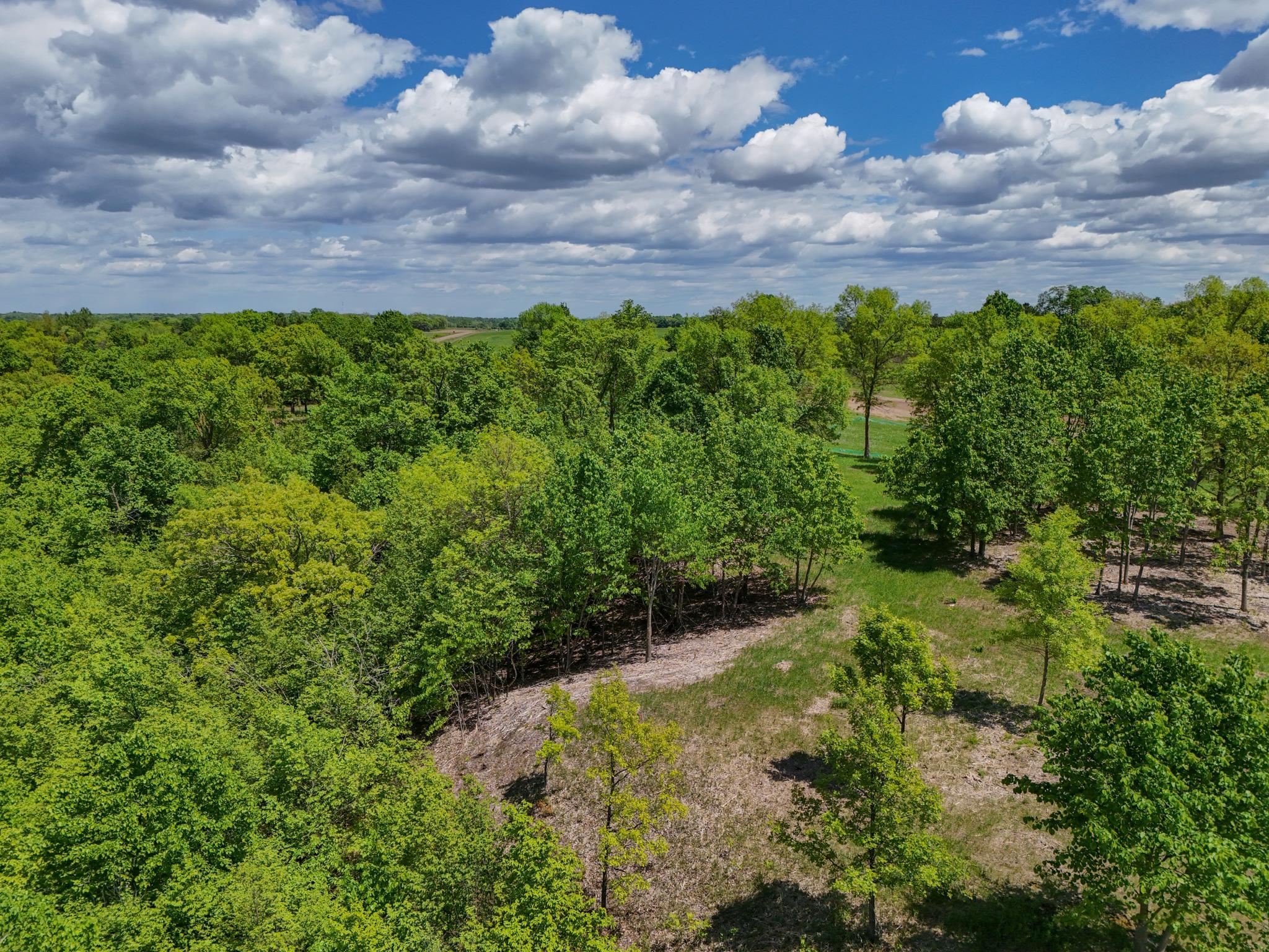 land for sale at 344XX 452nd St [A4] in Vergas, MN (photo 11 of 29)