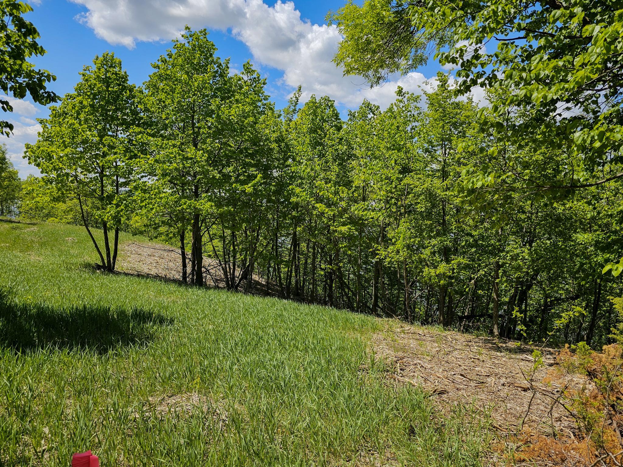 land for sale at 344XX 452nd St [A4] in Vergas, MN (photo 12 of 29)