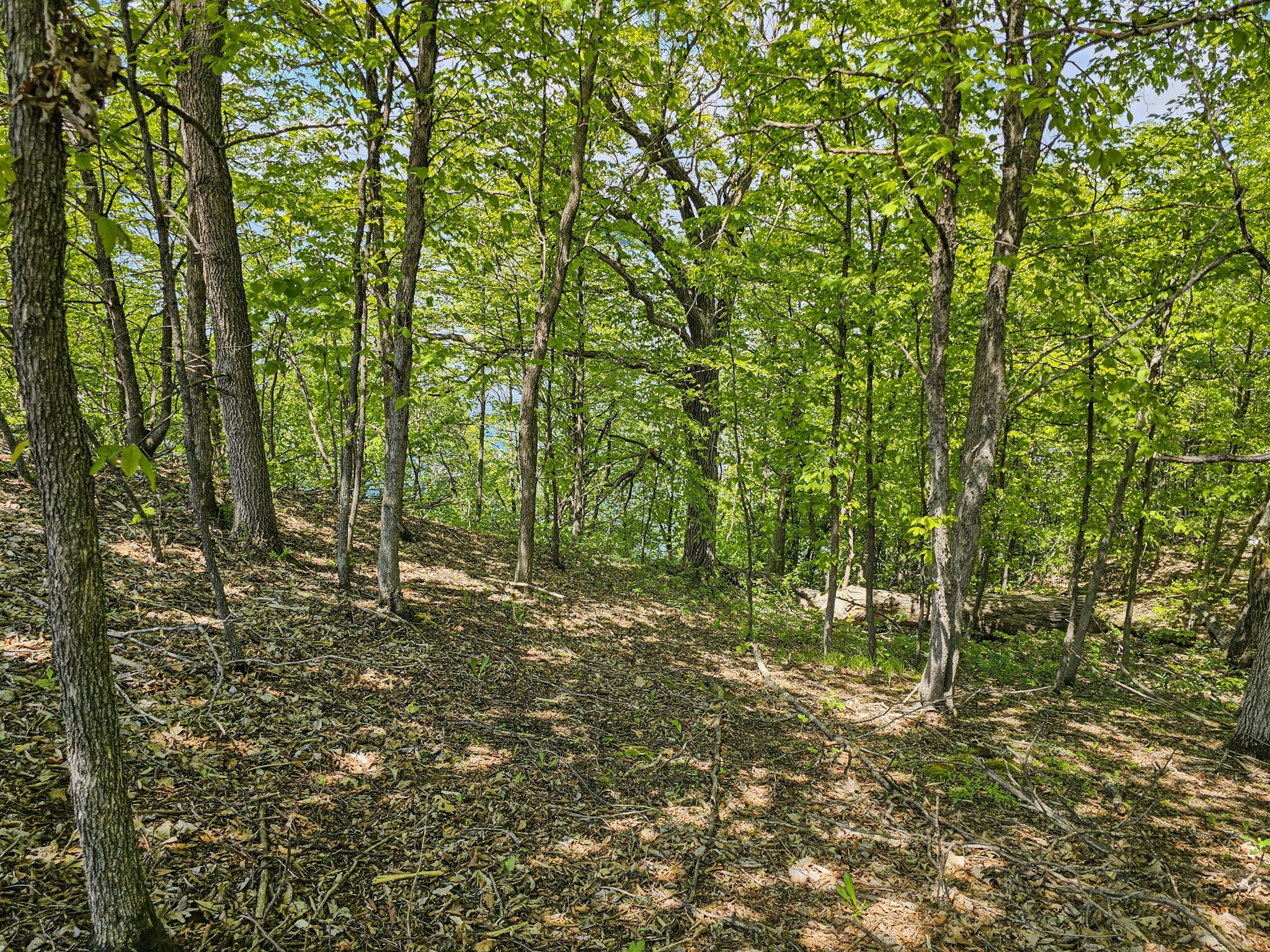 land for sale at 344XX 452nd St [A4] in Vergas, MN (photo 13 of 29)