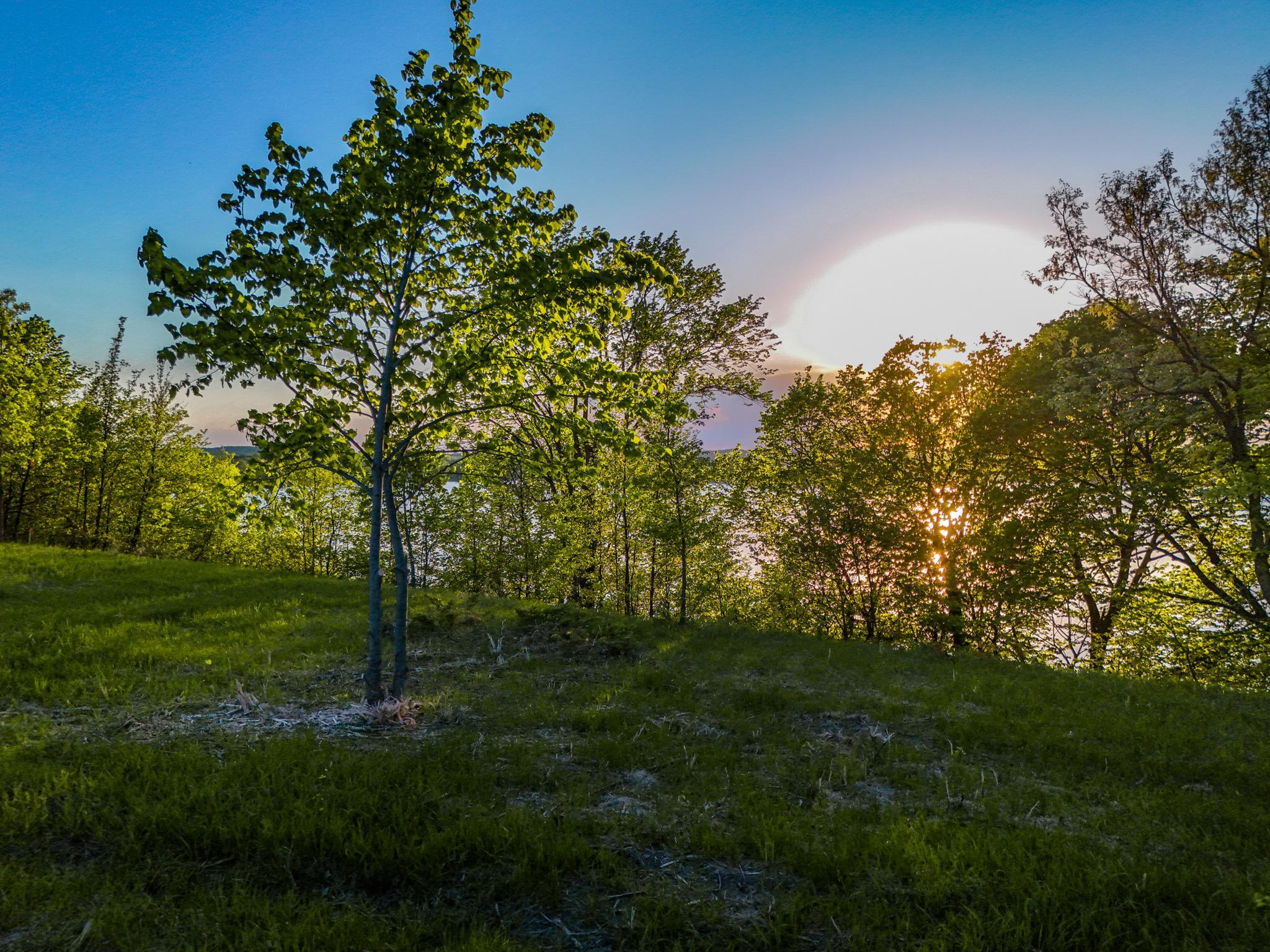 land for sale at 344XX 452nd St [A4] in Vergas, MN (photo 22 of 29)