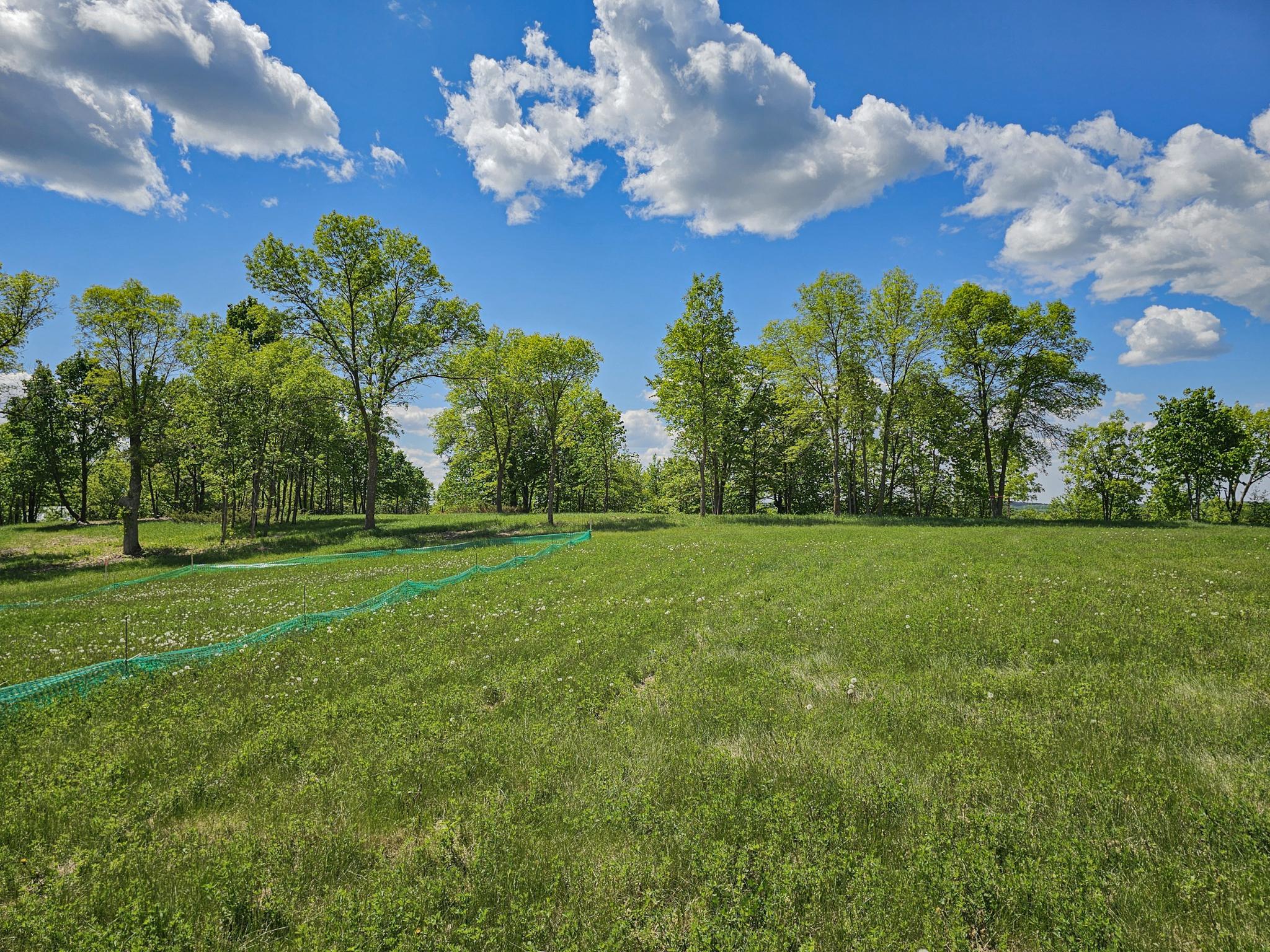land for sale at 344XX 452nd St [A4] in Vergas, MN (photo 4 of 29)