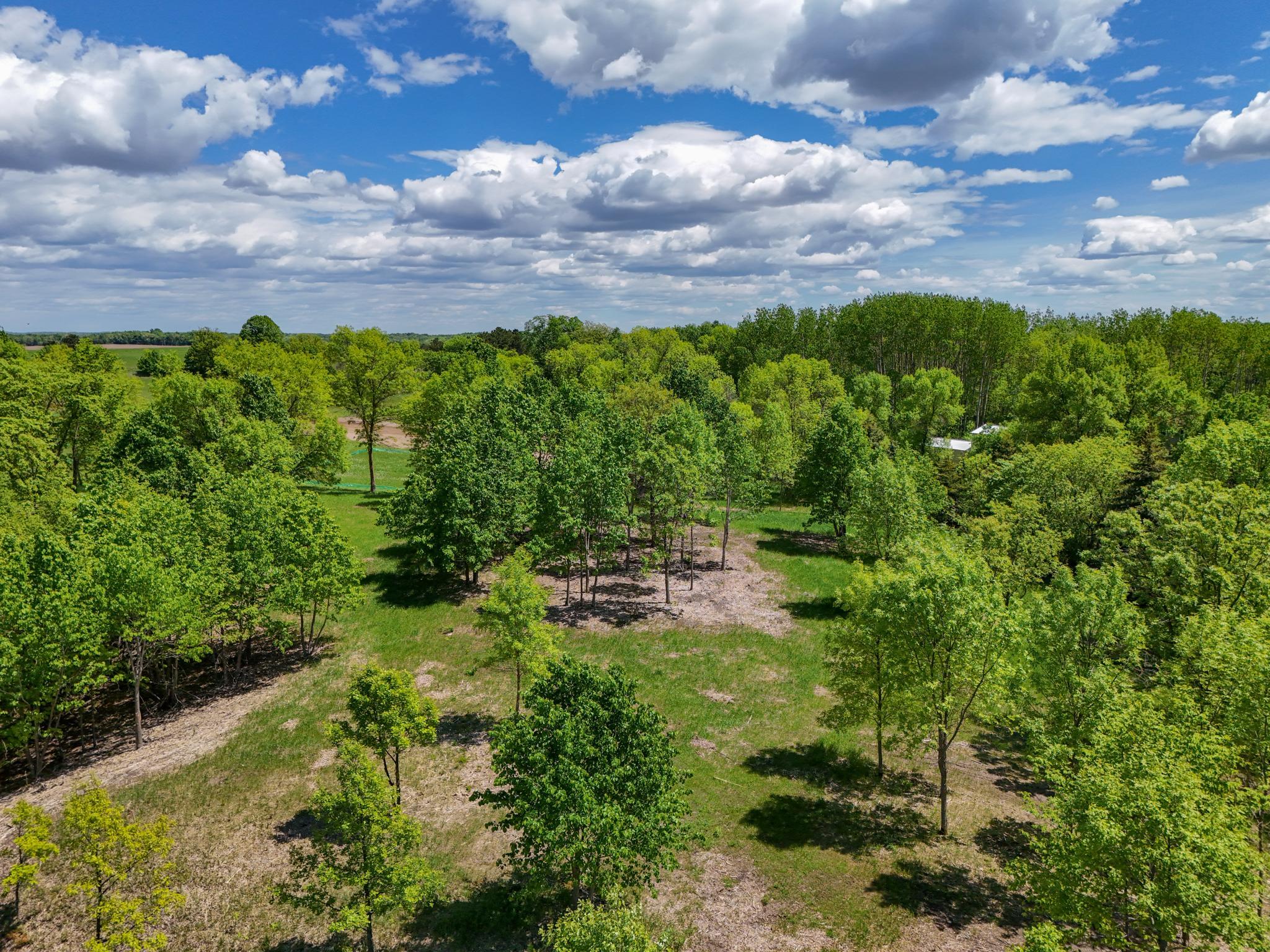 land for sale at 355XX 452nd St [A5] in Vergas, MN (photo 11 of 33)