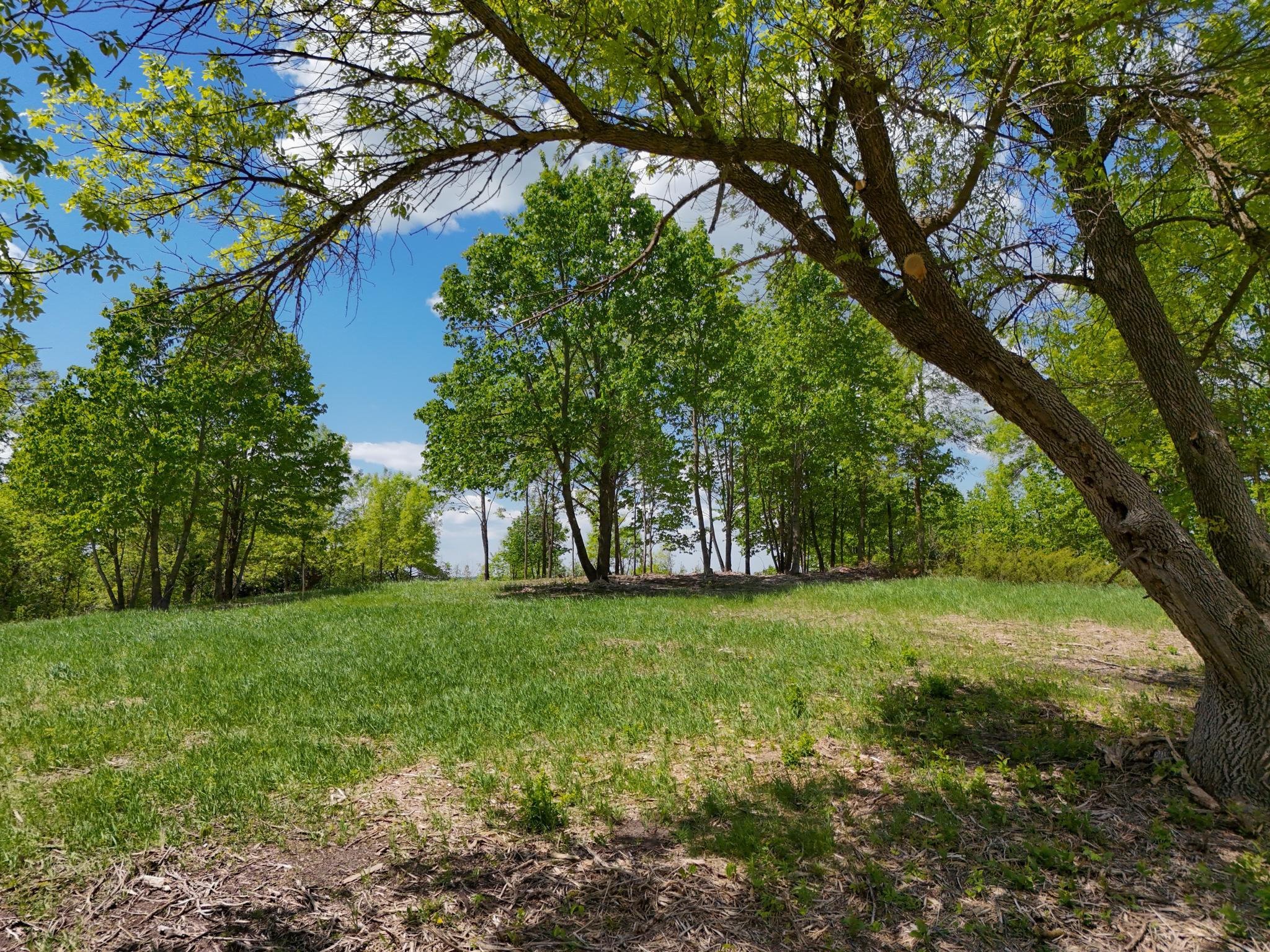 land for sale at 355XX 452nd St [A5] in Vergas, MN (photo 7 of 33)