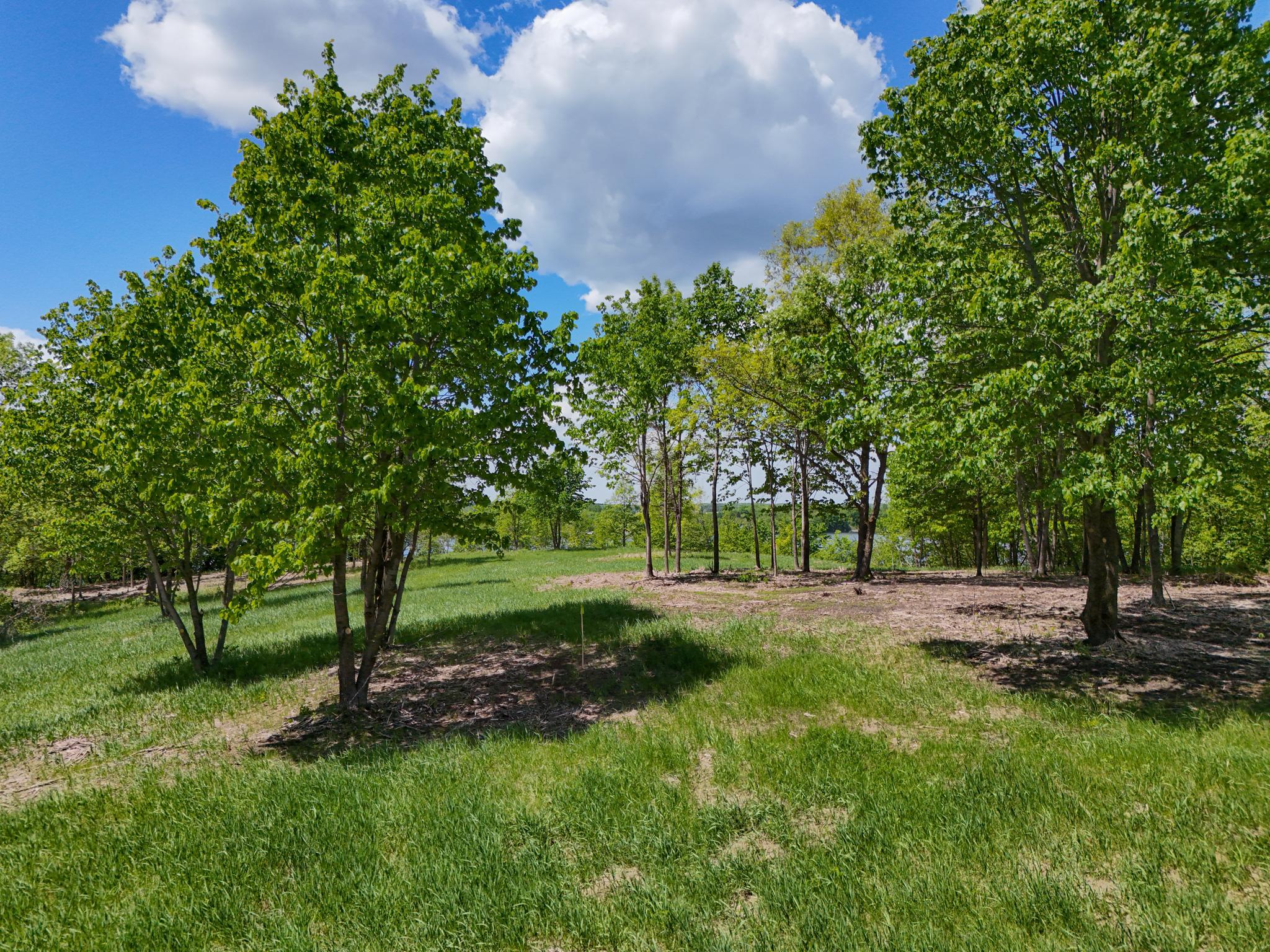 land for sale at 355XX 452nd St [A5] in Vergas, MN (photo 8 of 33)