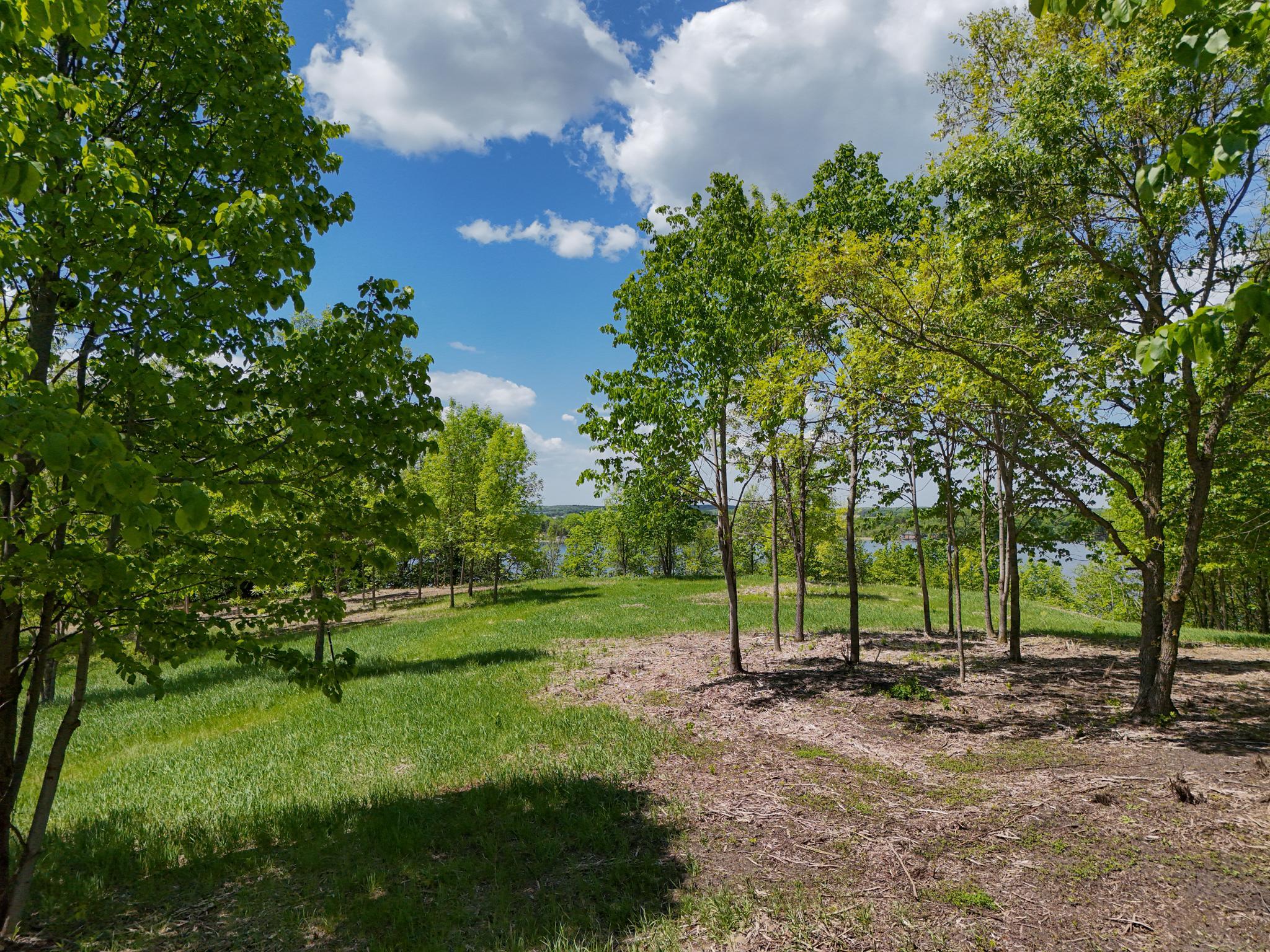 land for sale at 355XX 452nd St [A5] in Vergas, MN (photo 9 of 33)