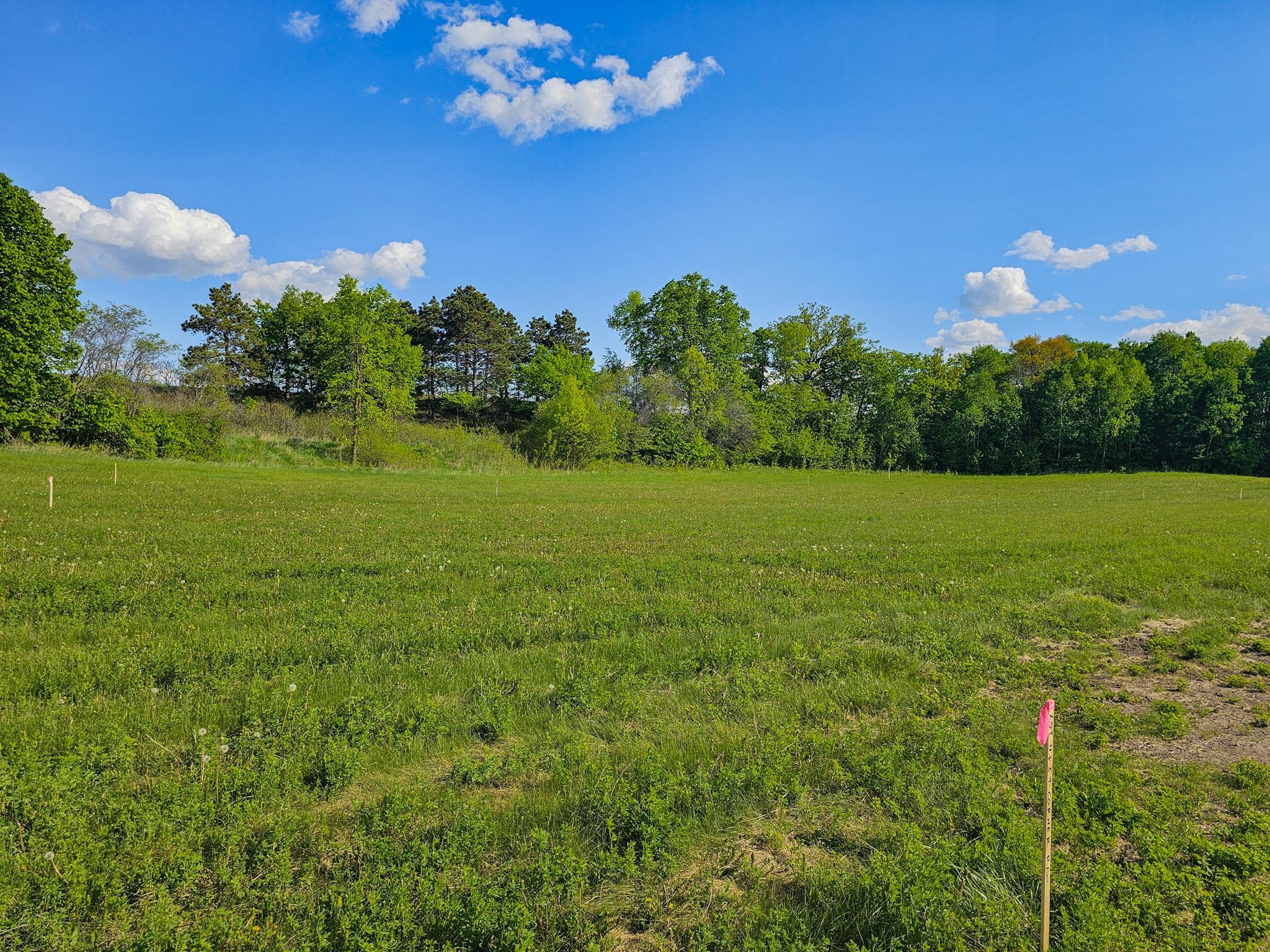 land for sale at 325XX 452nd St [B5] in Vergas, MN (photo 8 of 11)