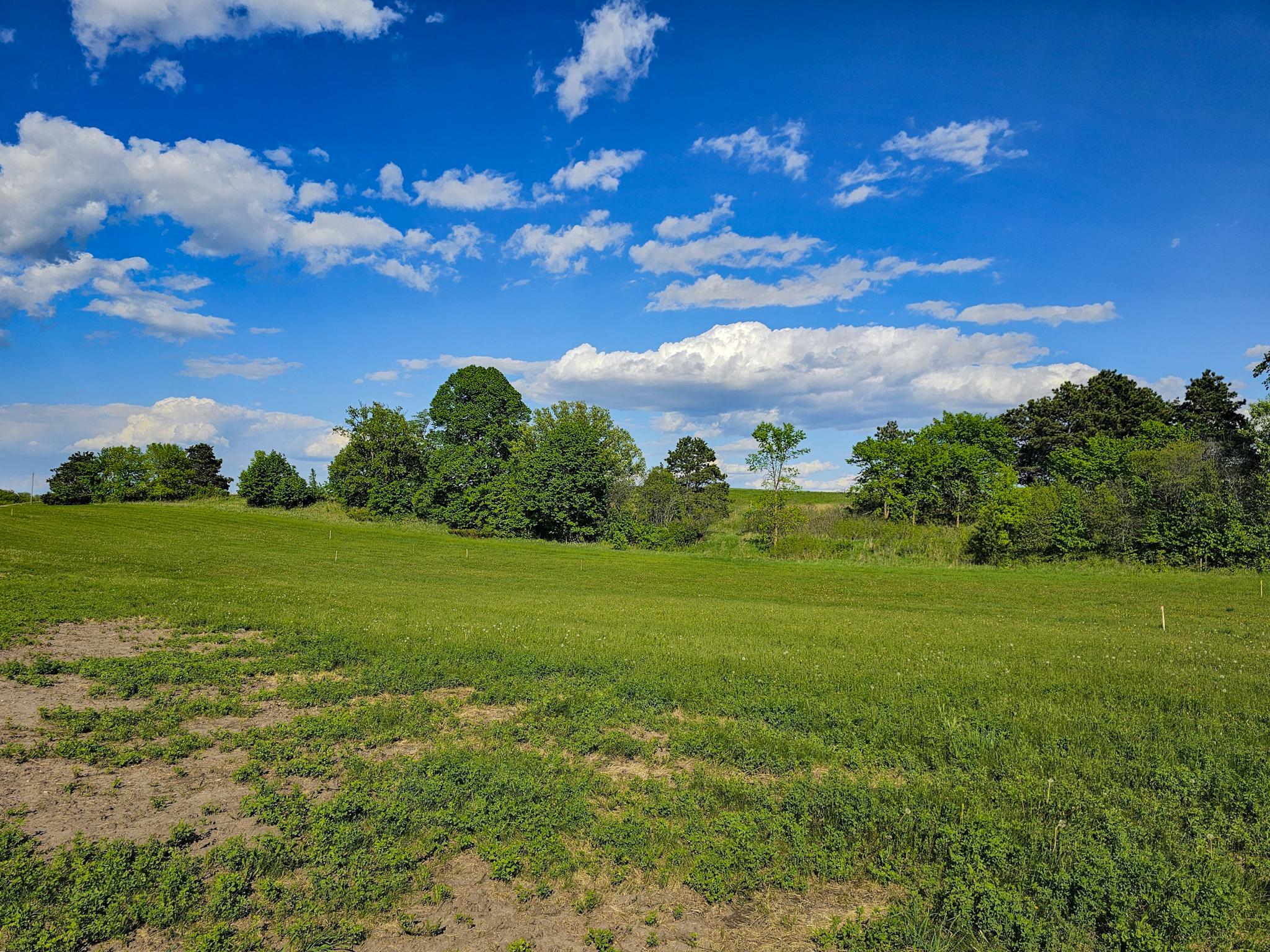 land for sale at 325XX 452nd St [B5] in Vergas, MN (photo 9 of 11)
