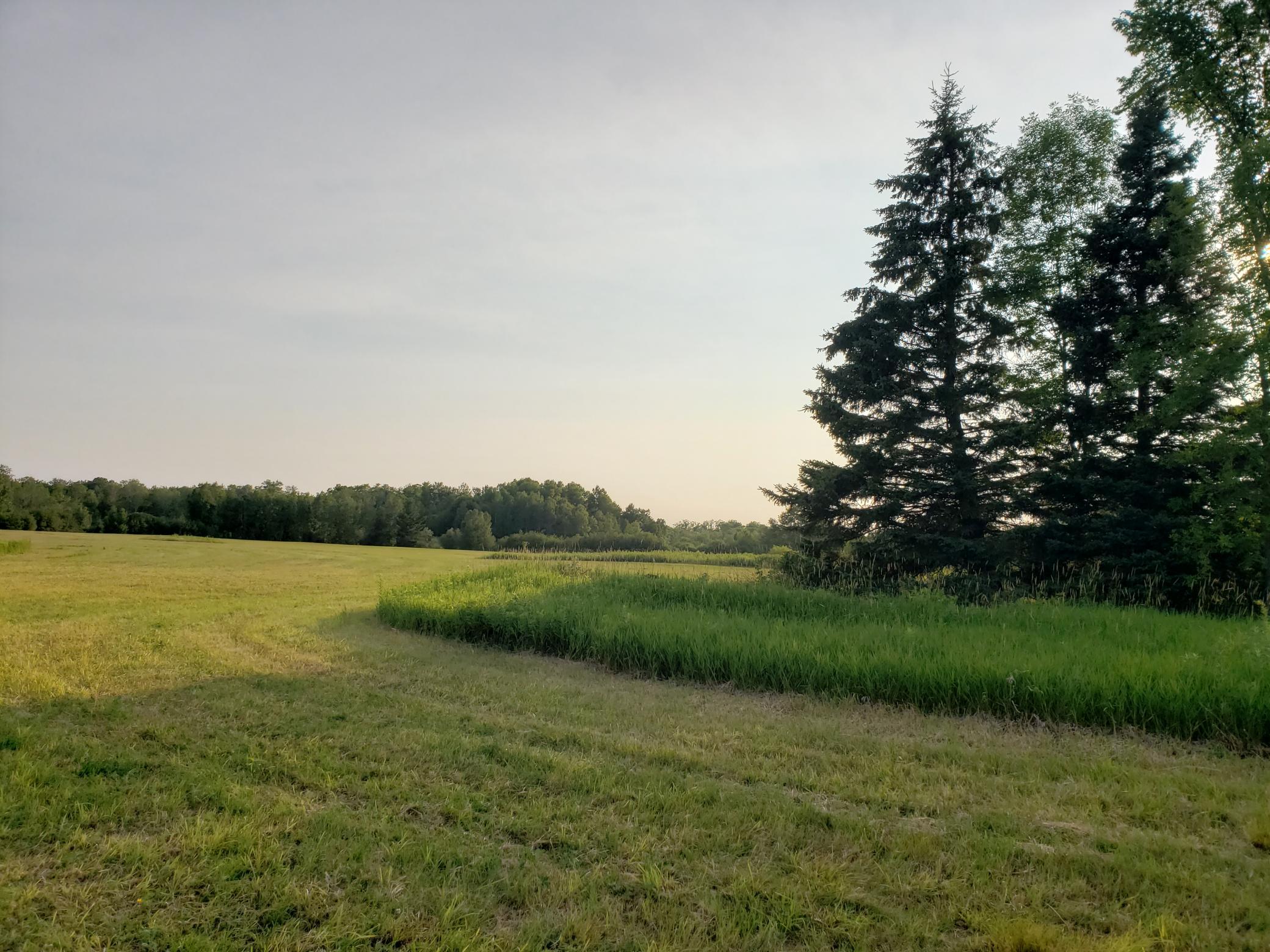 1921 single family home for sale at 27689 220th Street in Isle, MN — 3 bed, 2 bath (photo 32 of 50)