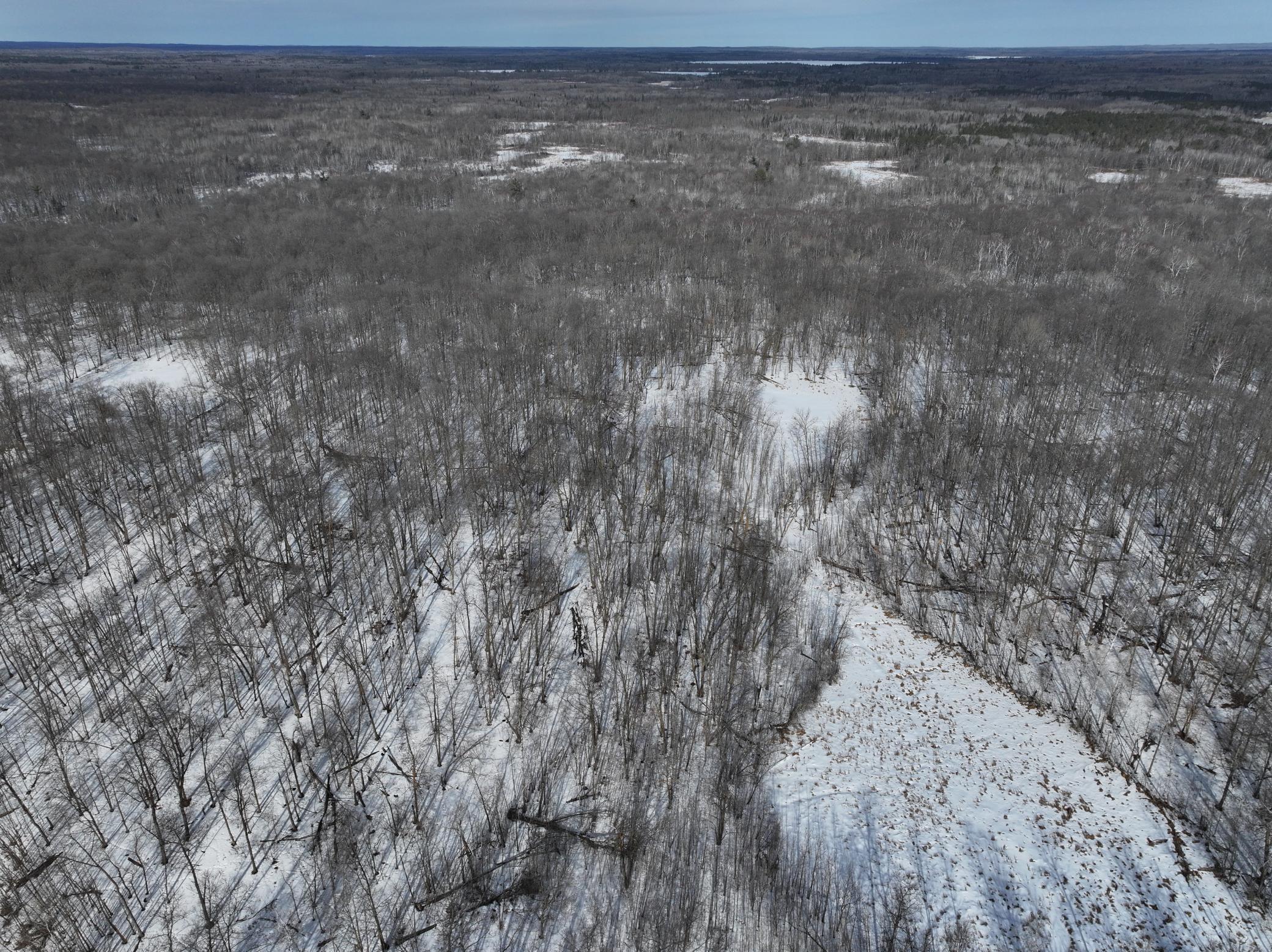 TBD County Highway 26, Rochert MN 56578 - Photo 3 of 15