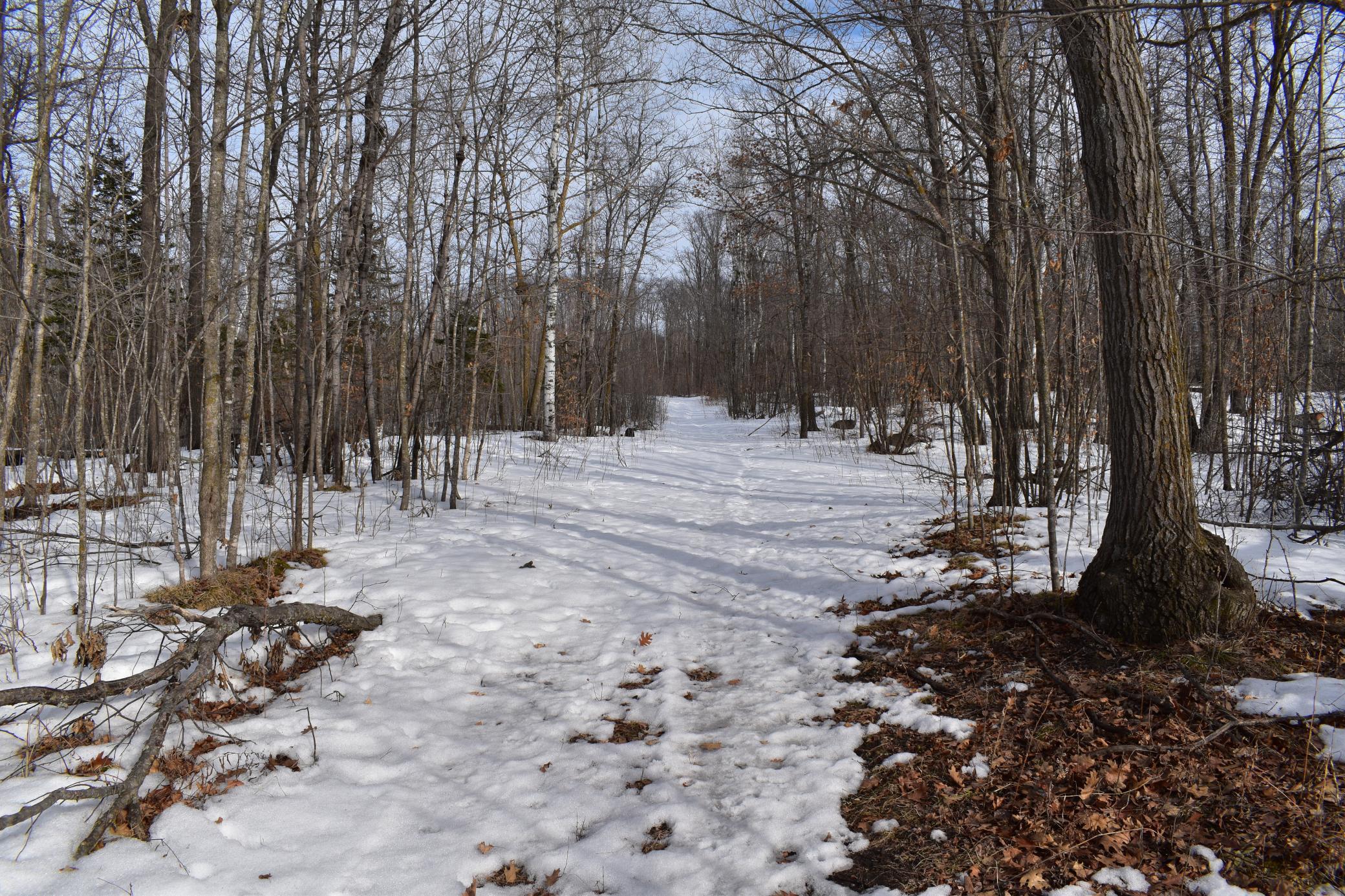 TBD County Highway 26, Rochert MN 56578 - Photo 5 of 15