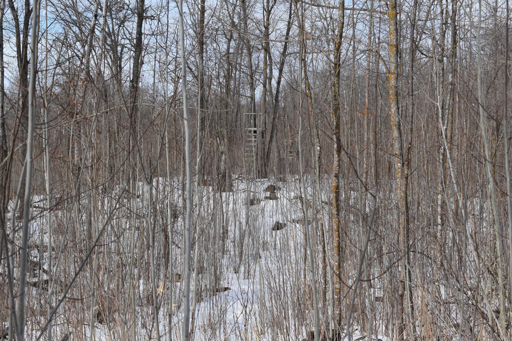 TBD County Highway 26, Rochert MN 56578 - Photo 6 of 15