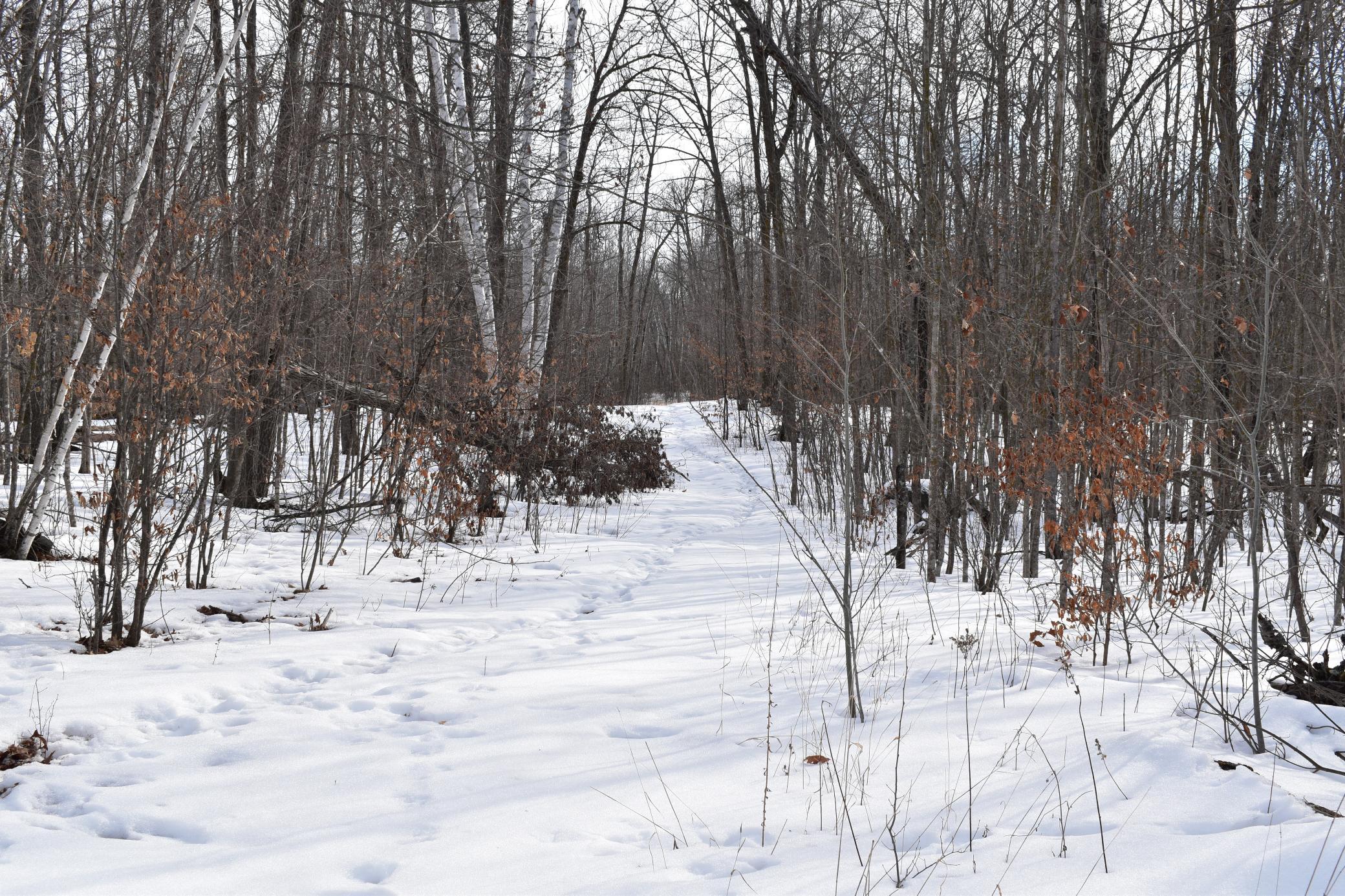 TBD County Highway 26, Rochert MN 56578 - Photo 7 of 15