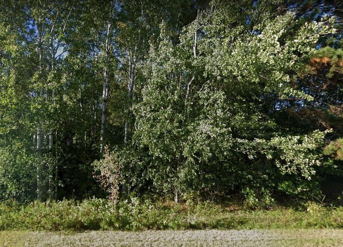 land for sale at 2723 Oak Street in Brainerd, MN (photo 6 of 7)