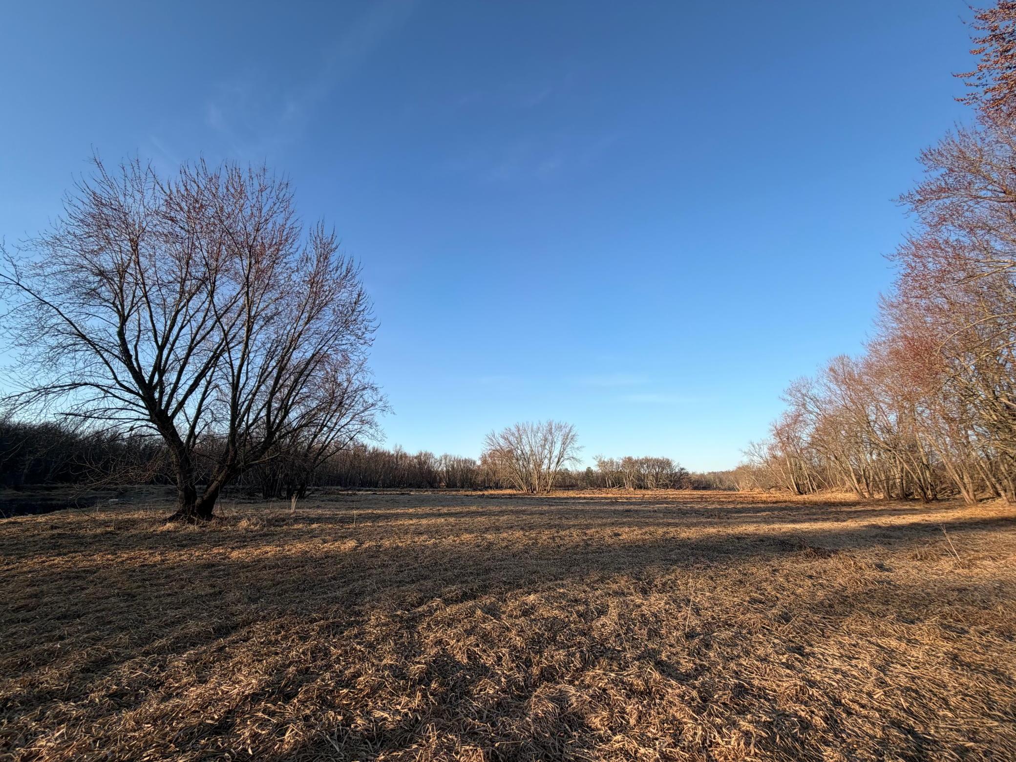 TBD Riverview Place, Merrifield MN 56465 - Photo 20 of 39