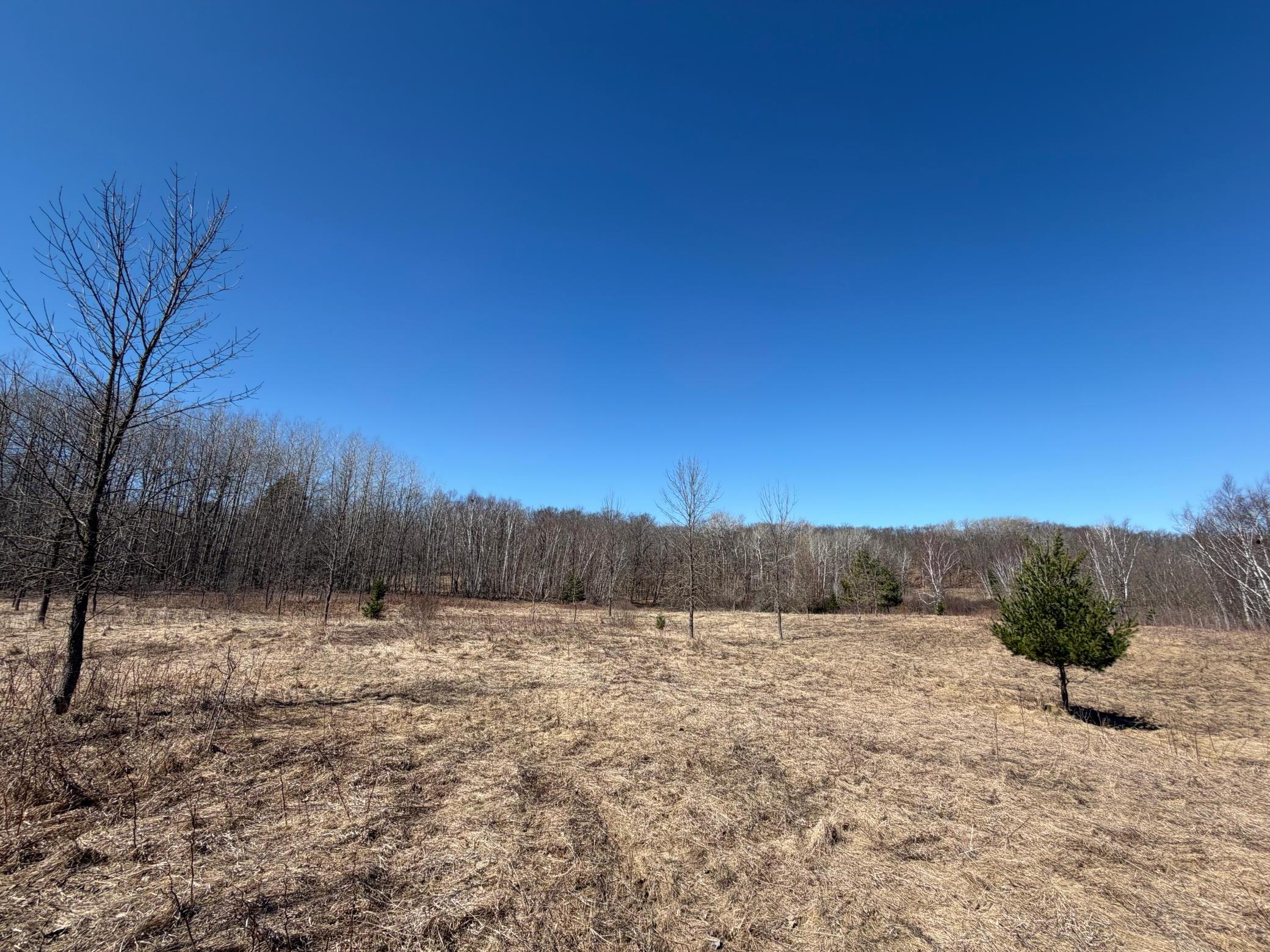 TBD Riverview Place, Merrifield MN 56465 - Photo 23 of 39