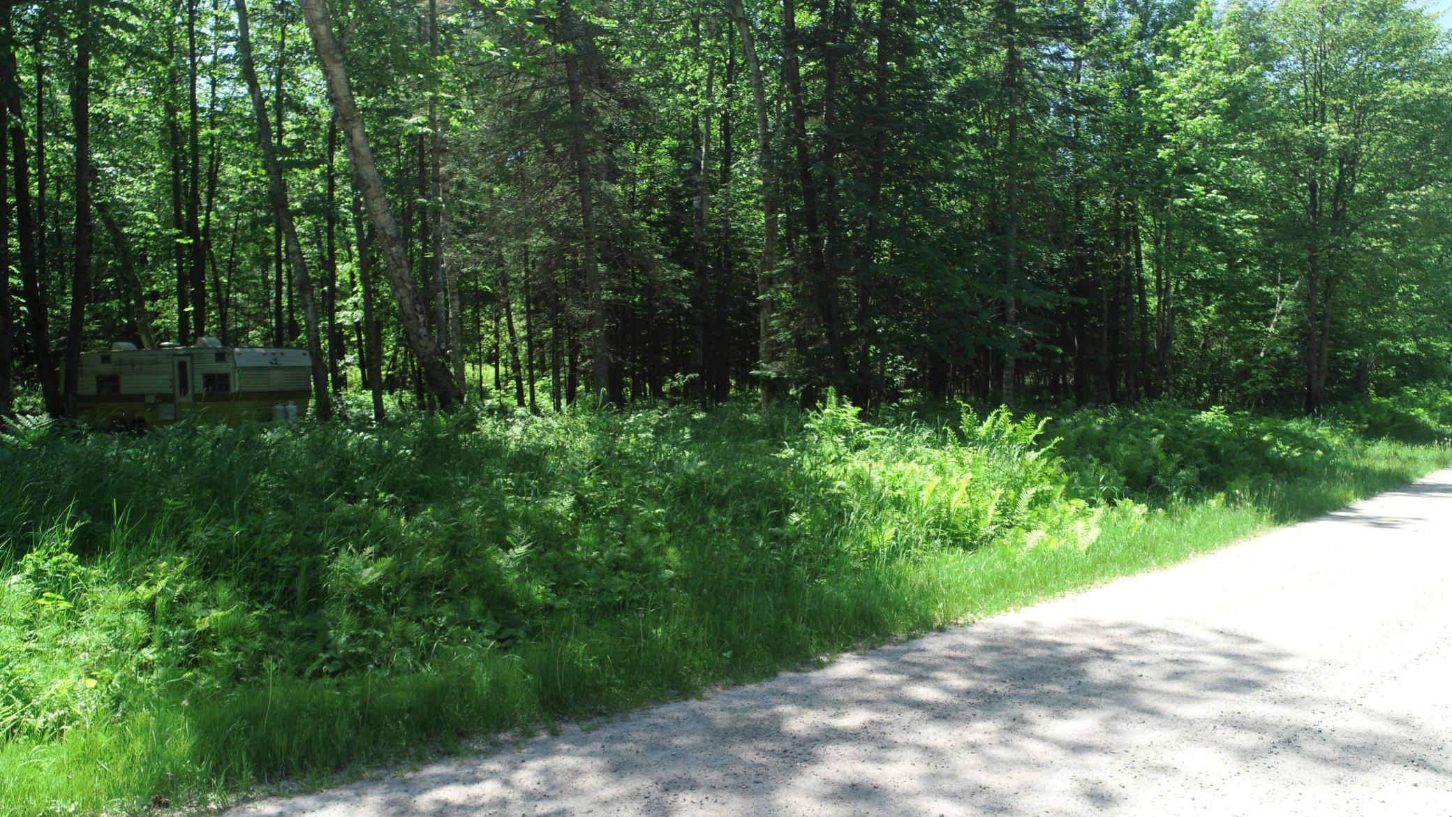 TBD Rush Island Lake Road, Deer River MN 56636 - Photo 2 of 22
