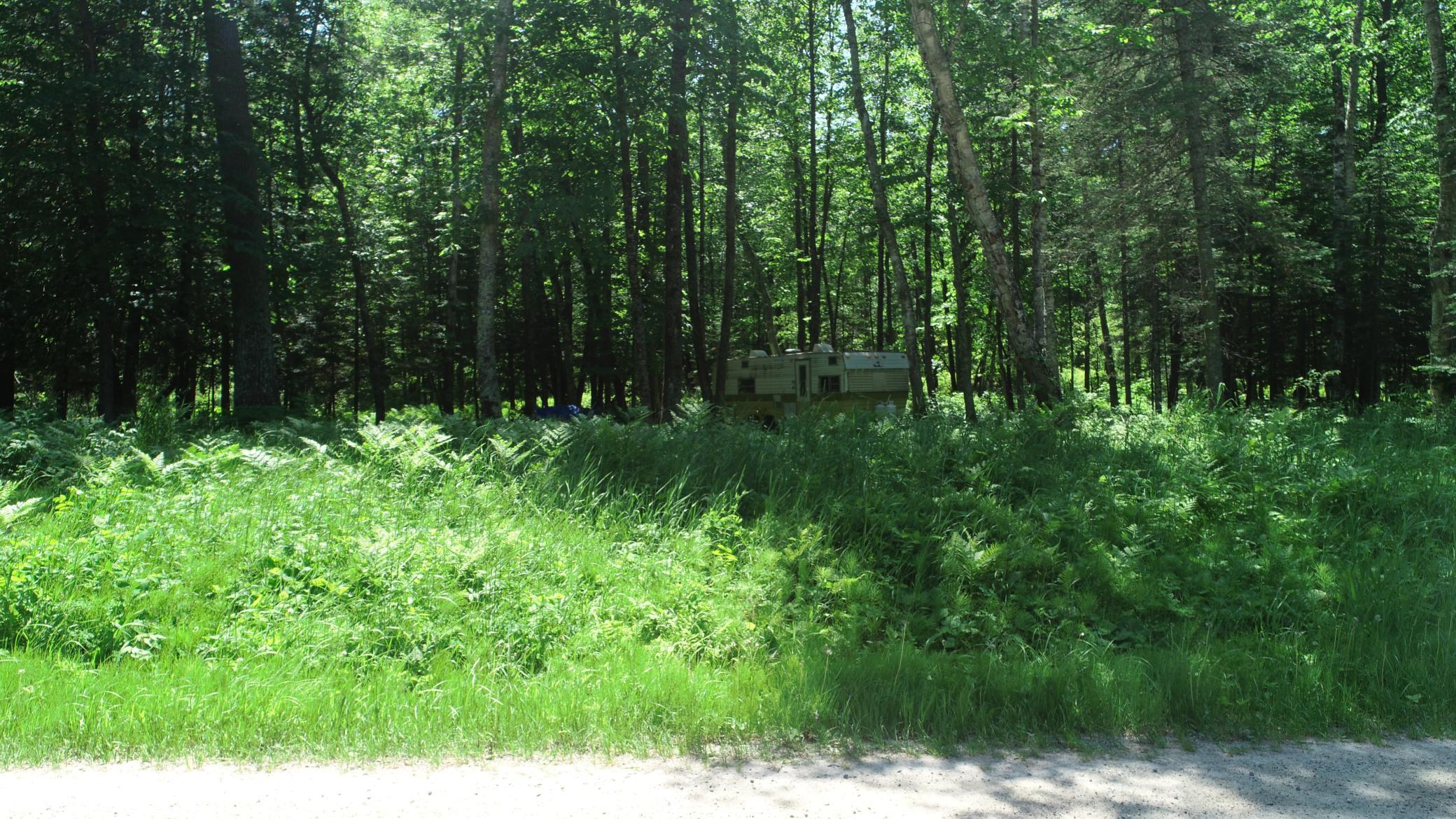 TBD Rush Island Lake Road, Deer River MN 56636 - Photo 21 of 22