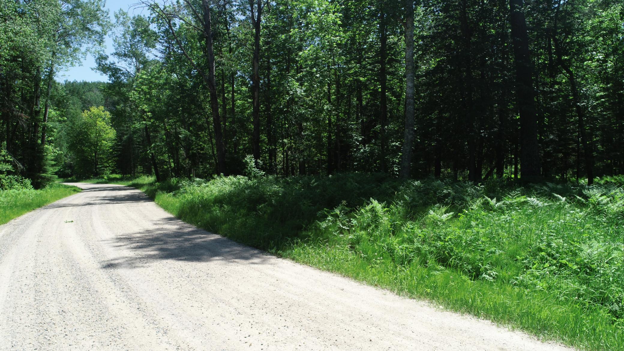 TBD Rush Island Lake Road, Deer River MN 56636 - Photo 22 of 22