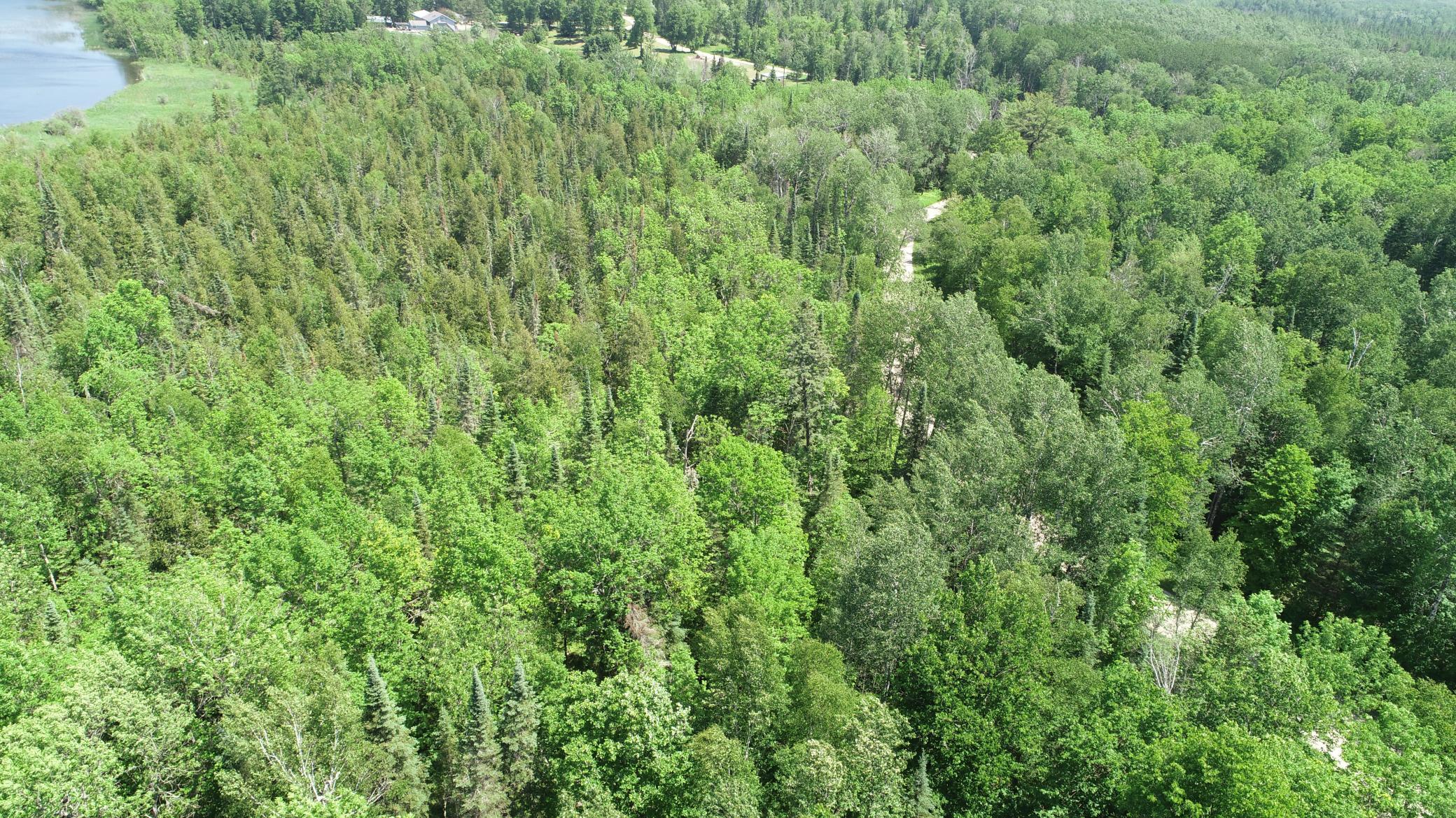TBD Rush Island Lake Road, Deer River MN 56636 - Photo 5 of 22