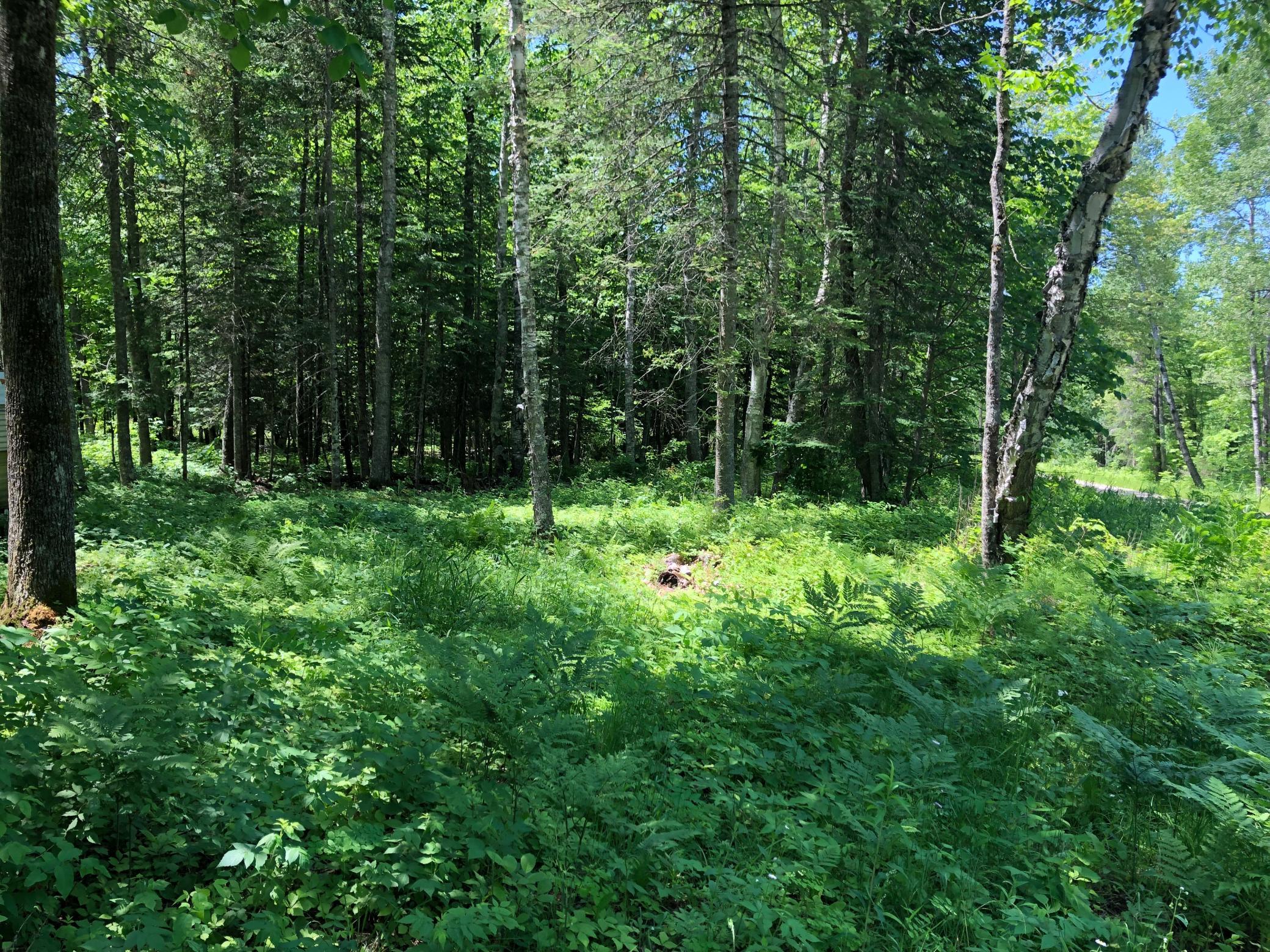 TBD Rush Island Lake Road, Deer River MN 56636 - Photo 10 of 22