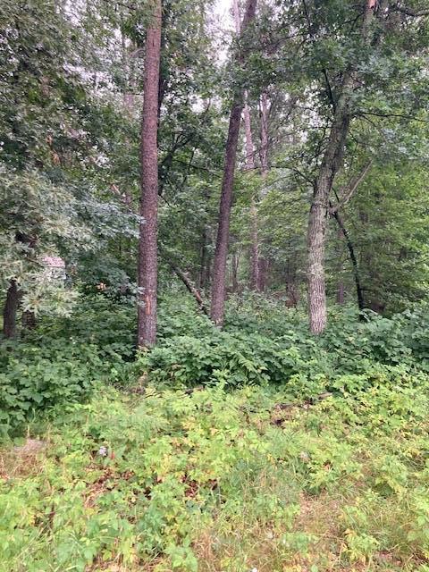 Lot 39 & 40 Owl Circle, Breezy Point MN 56472 - Photo 2 of 5