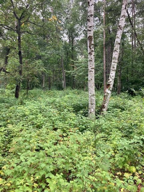 Lot 39 & 40 Owl Circle, Breezy Point MN 56472 - Photo 3 of 5