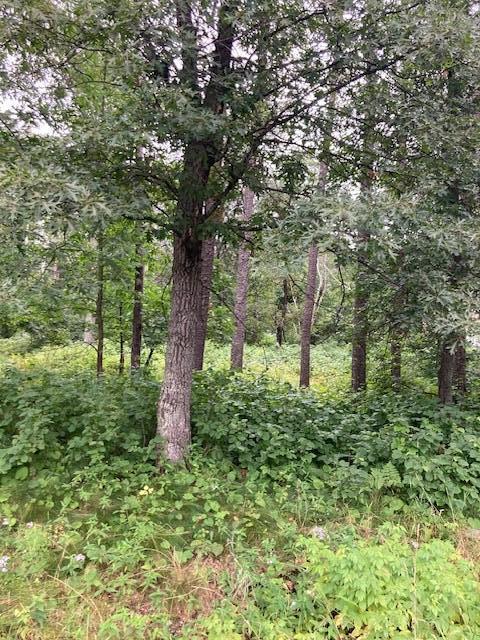 land for sale at Lot 39 & 40 Owl Circle in Breezy Point, MN