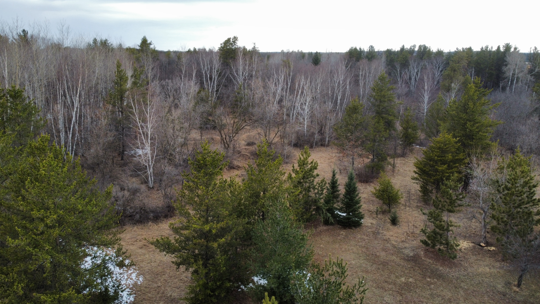 3818 131st Street SW, Pillager MN 56473 - Photo 35 of 39