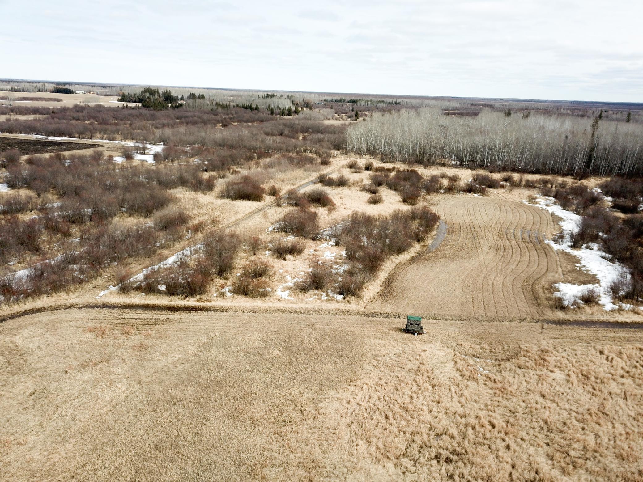 land for sale at 3228 County Road 1 SW in Baudette, MN (photo 11 of 67)