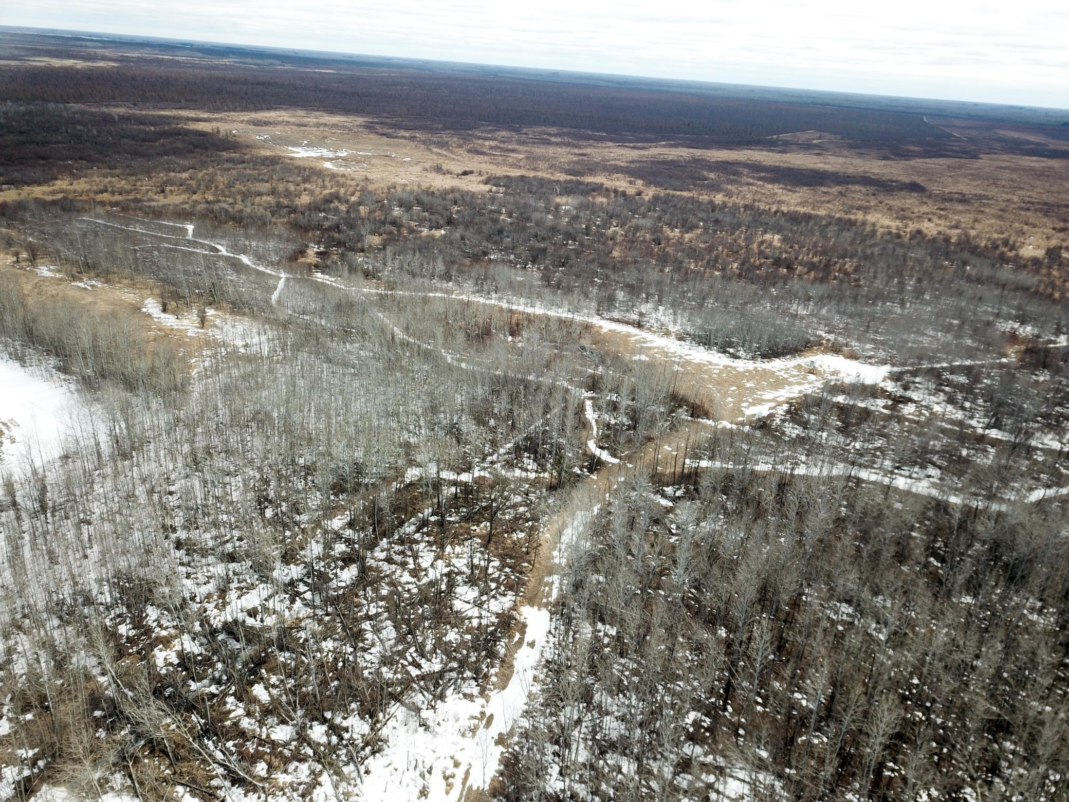 land for sale at 3228 County Road 1 SW in Baudette, MN (photo 13 of 67)