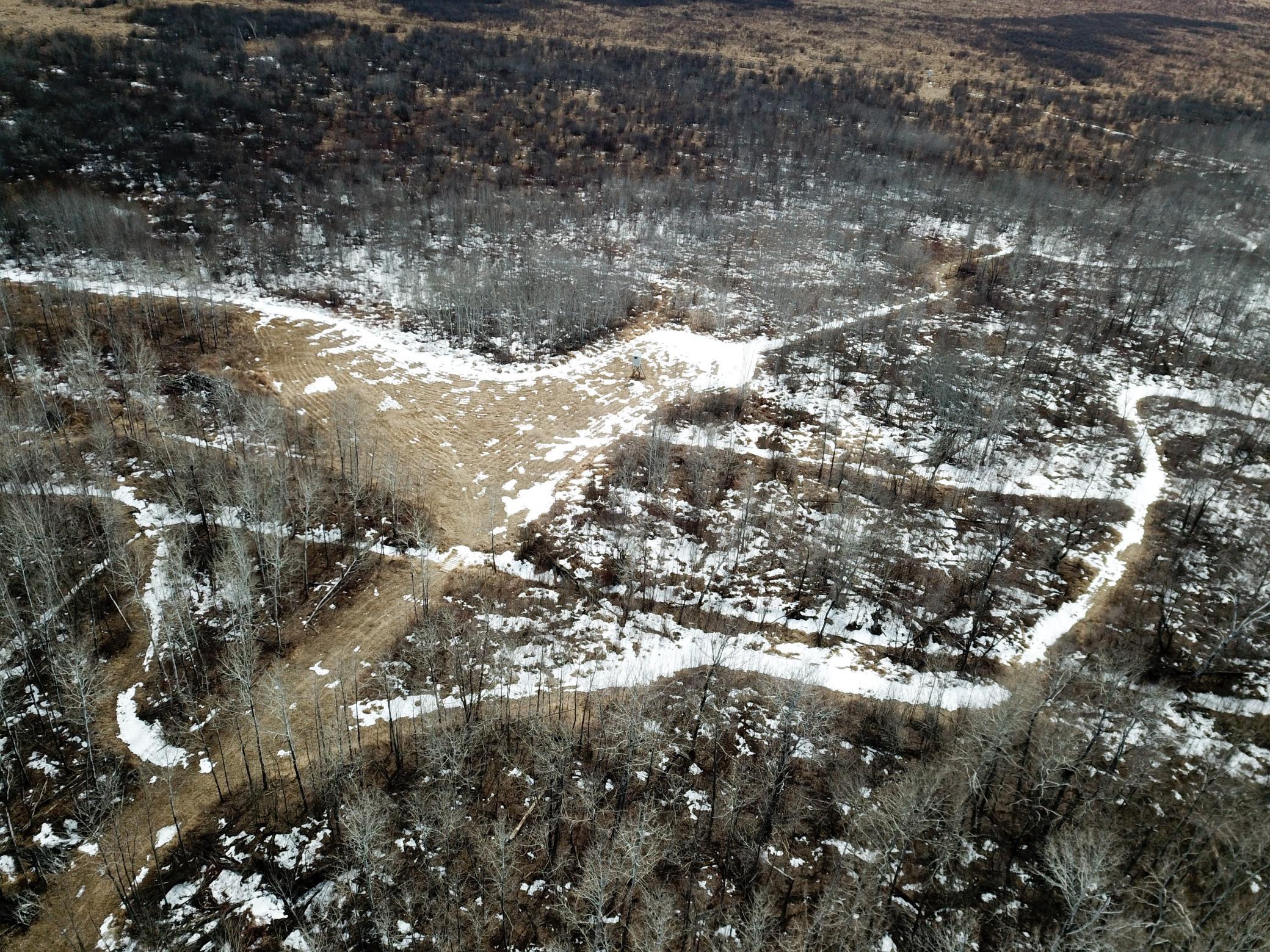 land for sale at 3228 County Road 1 SW in Baudette, MN (photo 16 of 67)