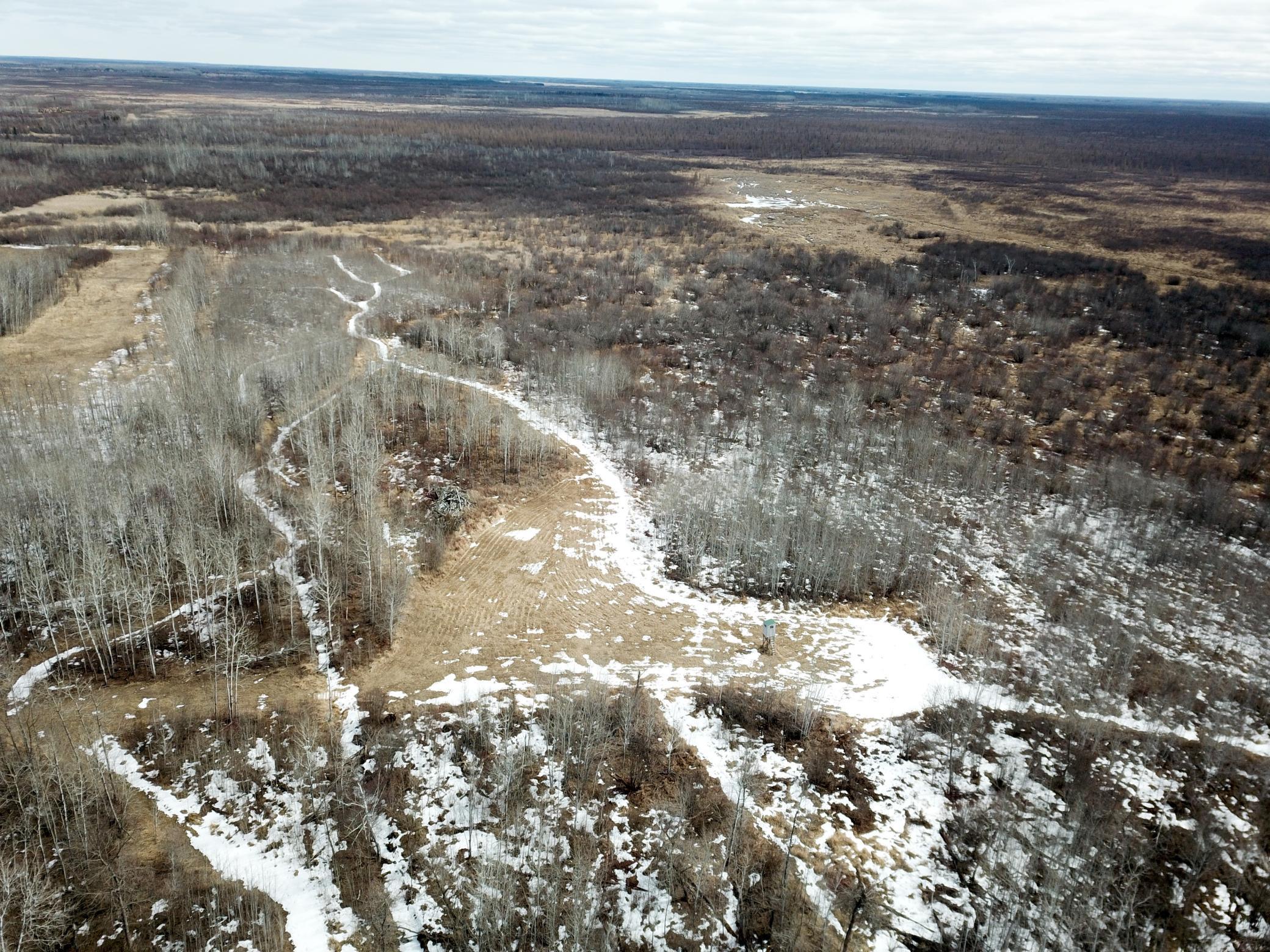 land for sale at 3228 County Road 1 SW in Baudette, MN (photo 17 of 67)