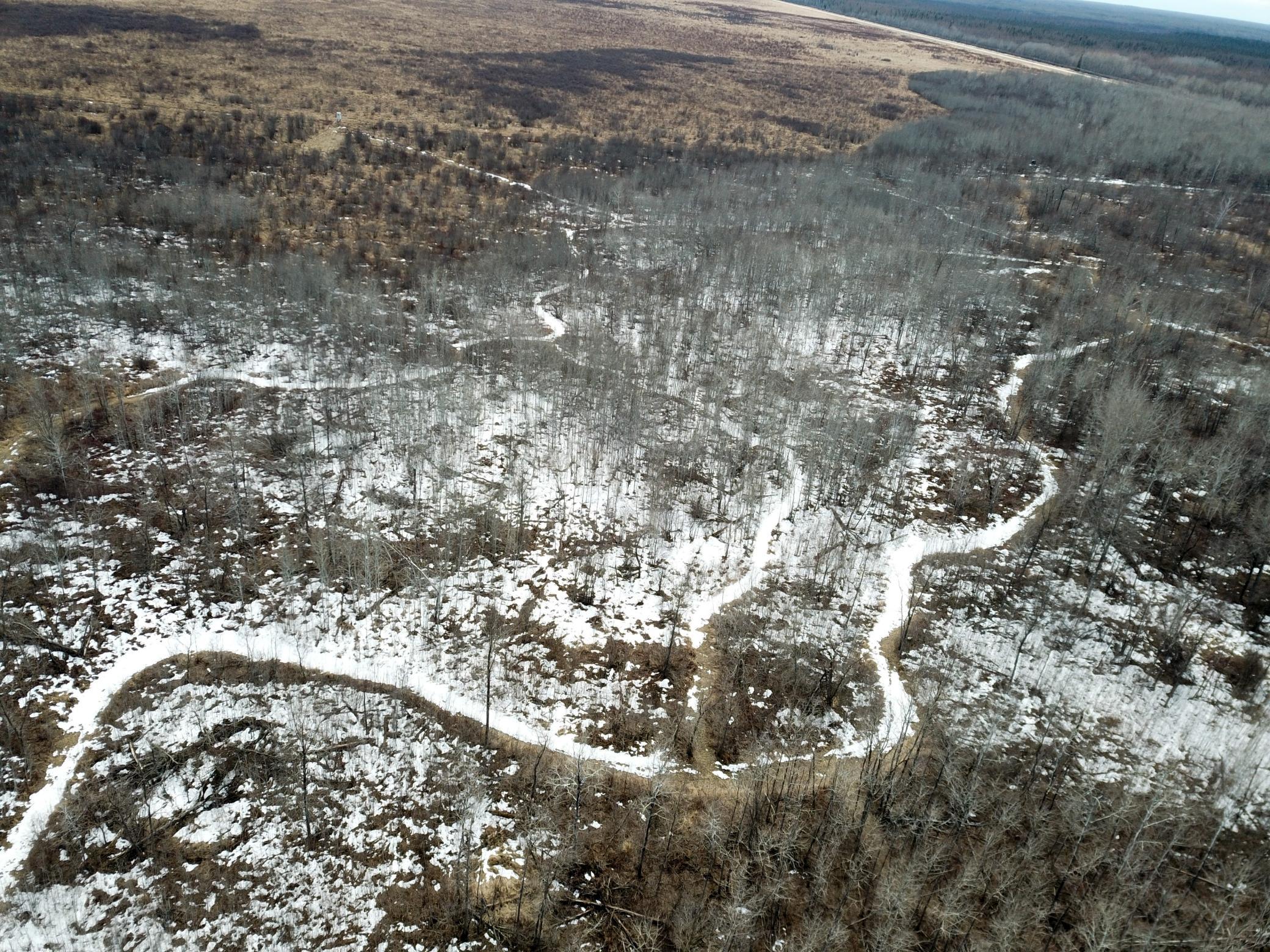 land for sale at 3228 County Road 1 SW in Baudette, MN (photo 18 of 67)