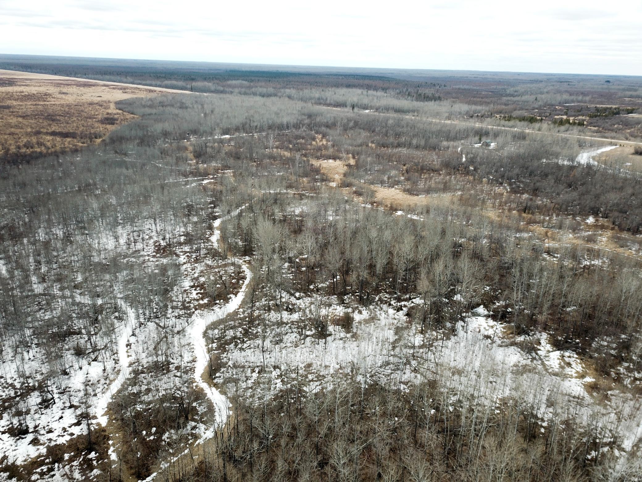 land for sale at 3228 County Road 1 SW in Baudette, MN (photo 19 of 67)