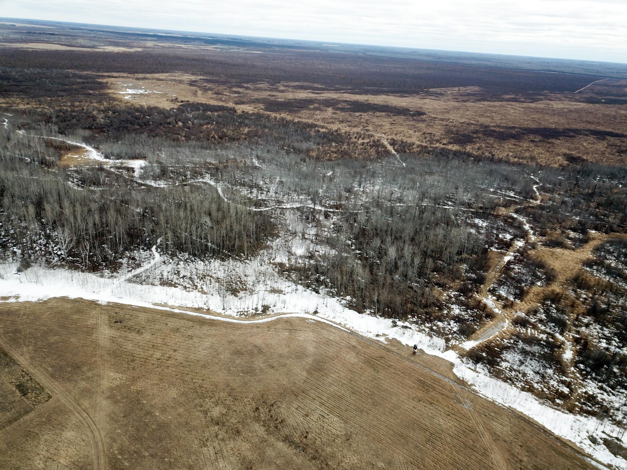land for sale at 3228 County Road 1 SW in Baudette, MN (photo 24 of 67)