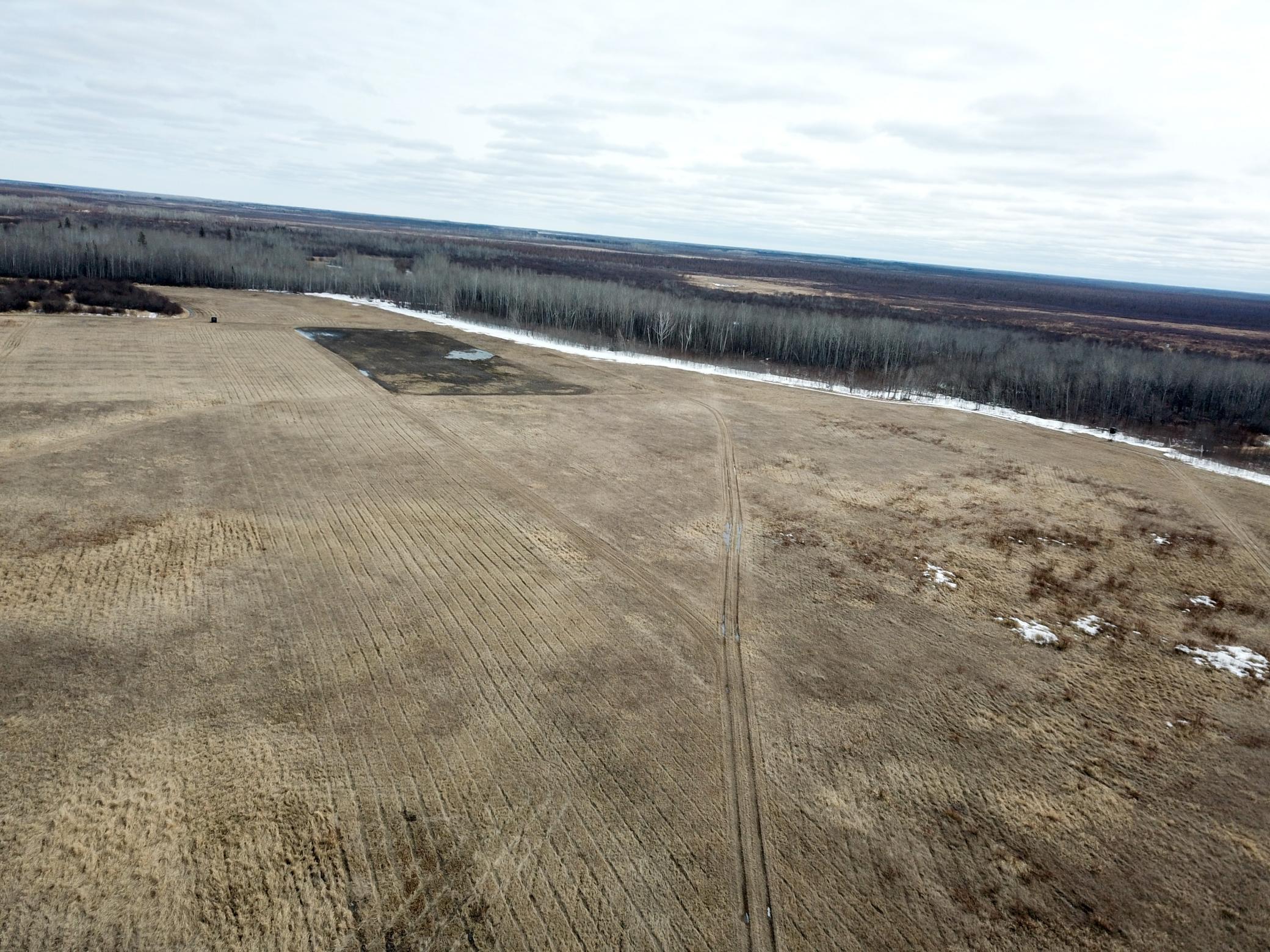 land for sale at 3228 County Road 1 SW in Baudette, MN (photo 4 of 67)