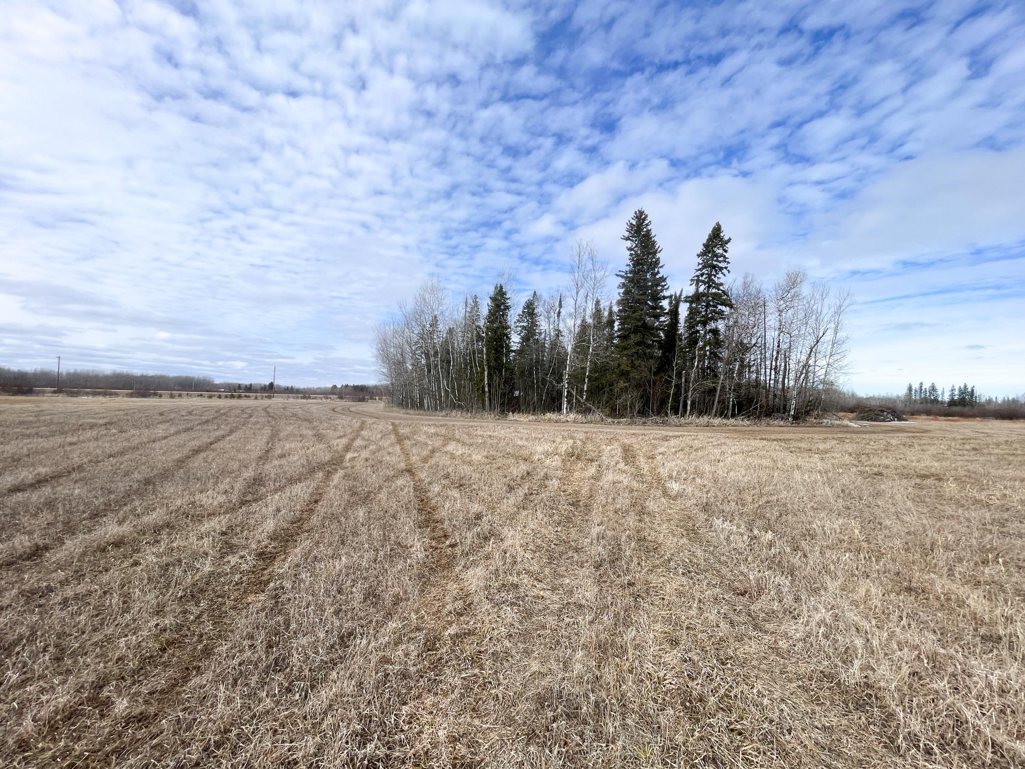 land for sale at 3228 County Road 1 SW in Baudette, MN (photo 37 of 67)
