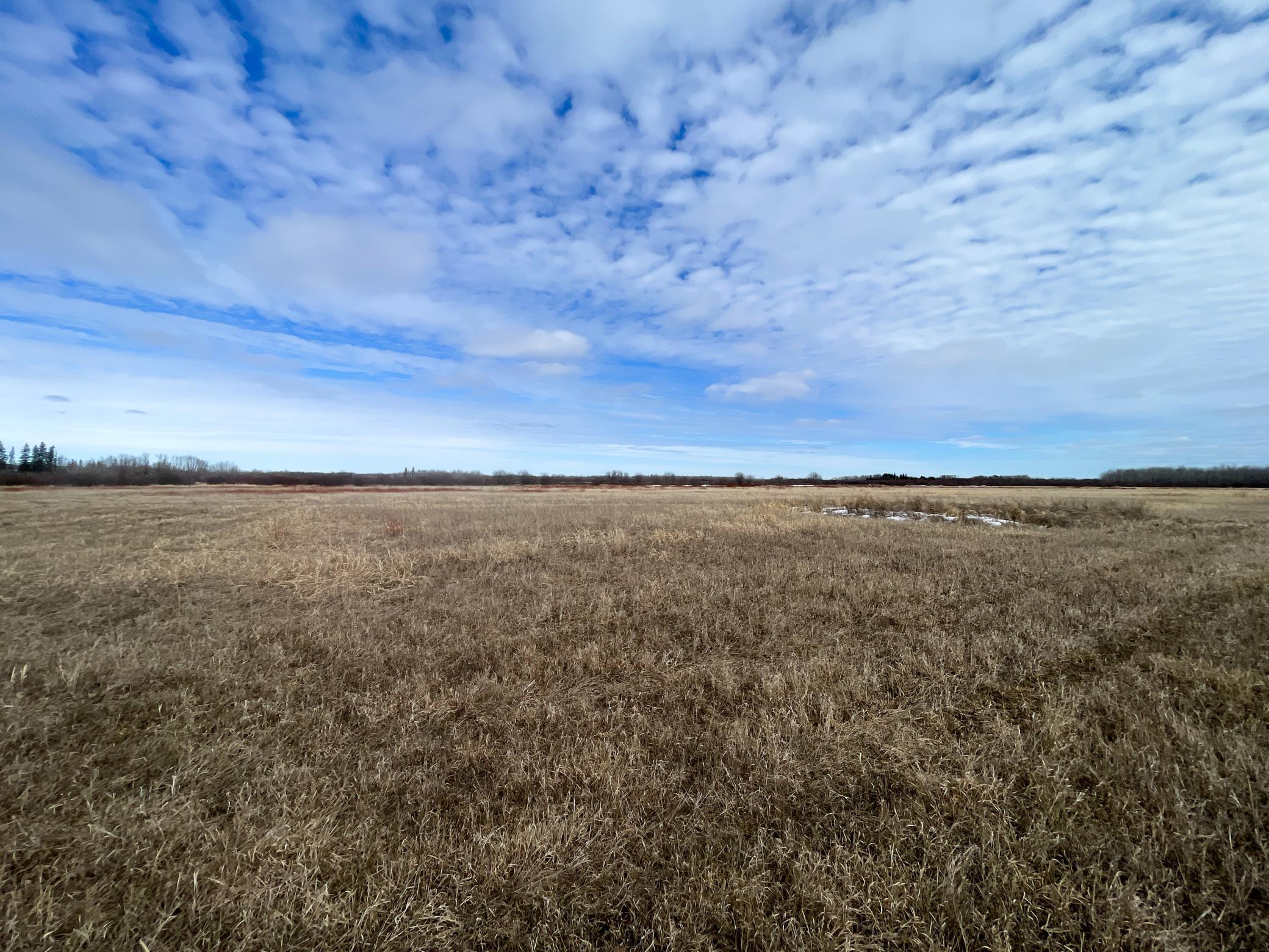 land for sale at 3228 County Road 1 SW in Baudette, MN (photo 38 of 67)
