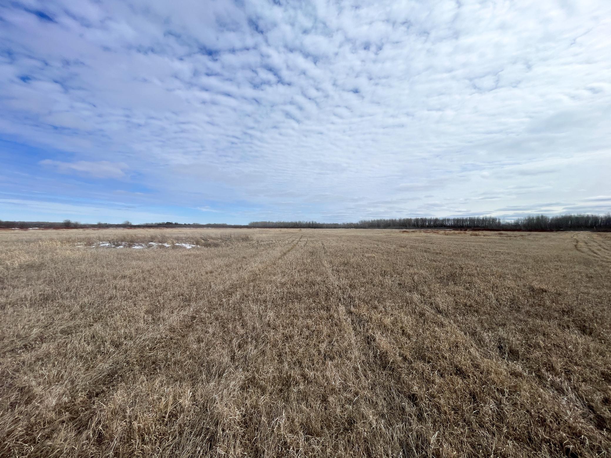 land for sale at 3228 County Road 1 SW in Baudette, MN (photo 39 of 67)