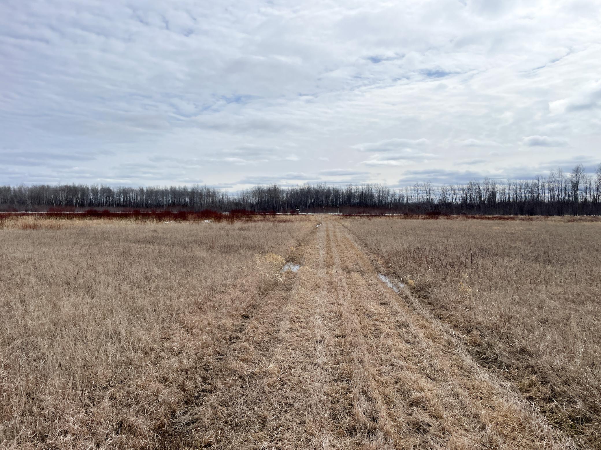 land for sale at 3228 County Road 1 SW in Baudette, MN (photo 40 of 67)