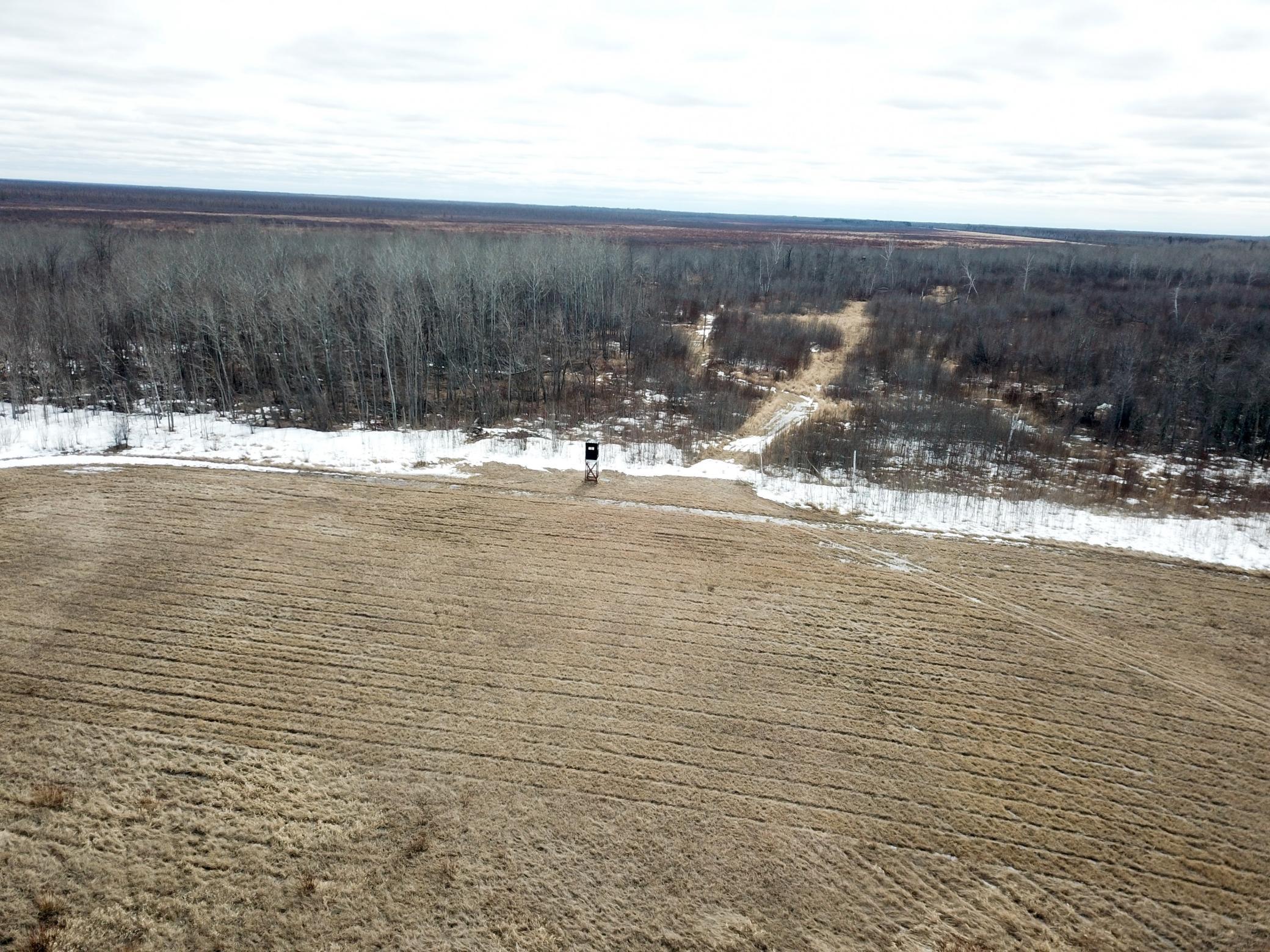 land for sale at 3228 County Road 1 SW in Baudette, MN (photo 5 of 67)