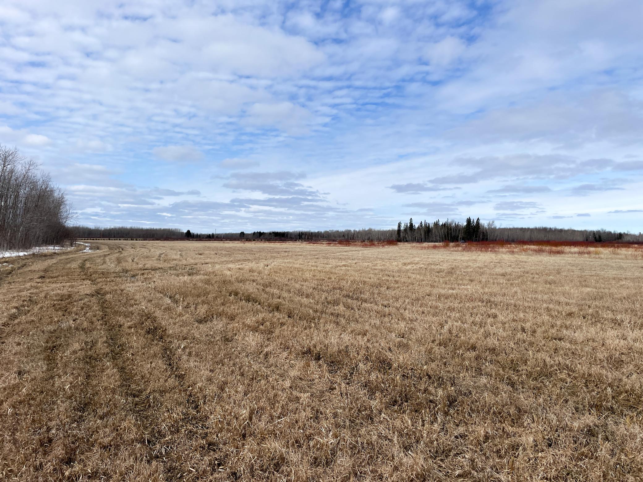 land for sale at 3228 County Road 1 SW in Baudette, MN (photo 41 of 67)