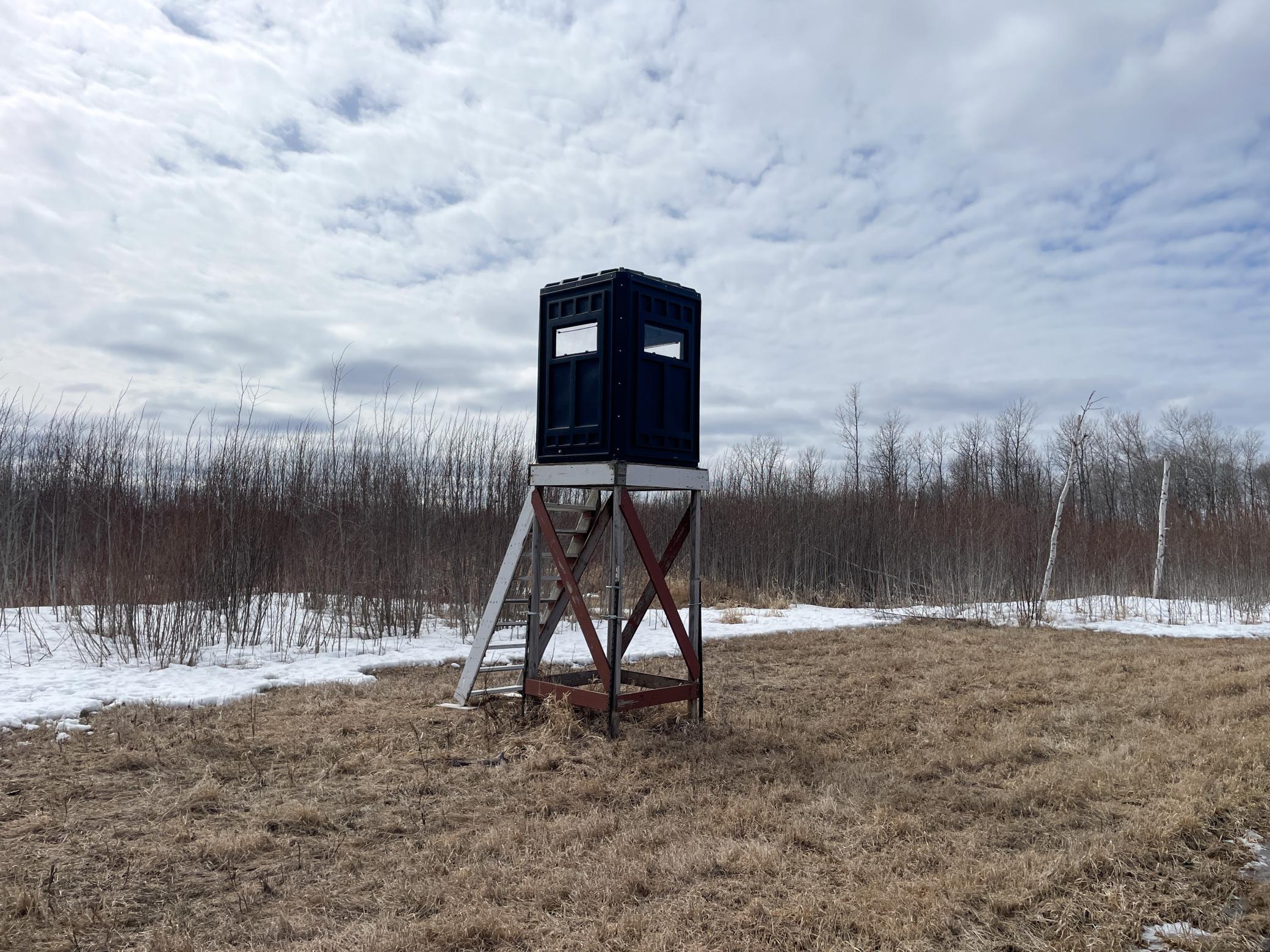 land for sale at 3228 County Road 1 SW in Baudette, MN (photo 42 of 67)