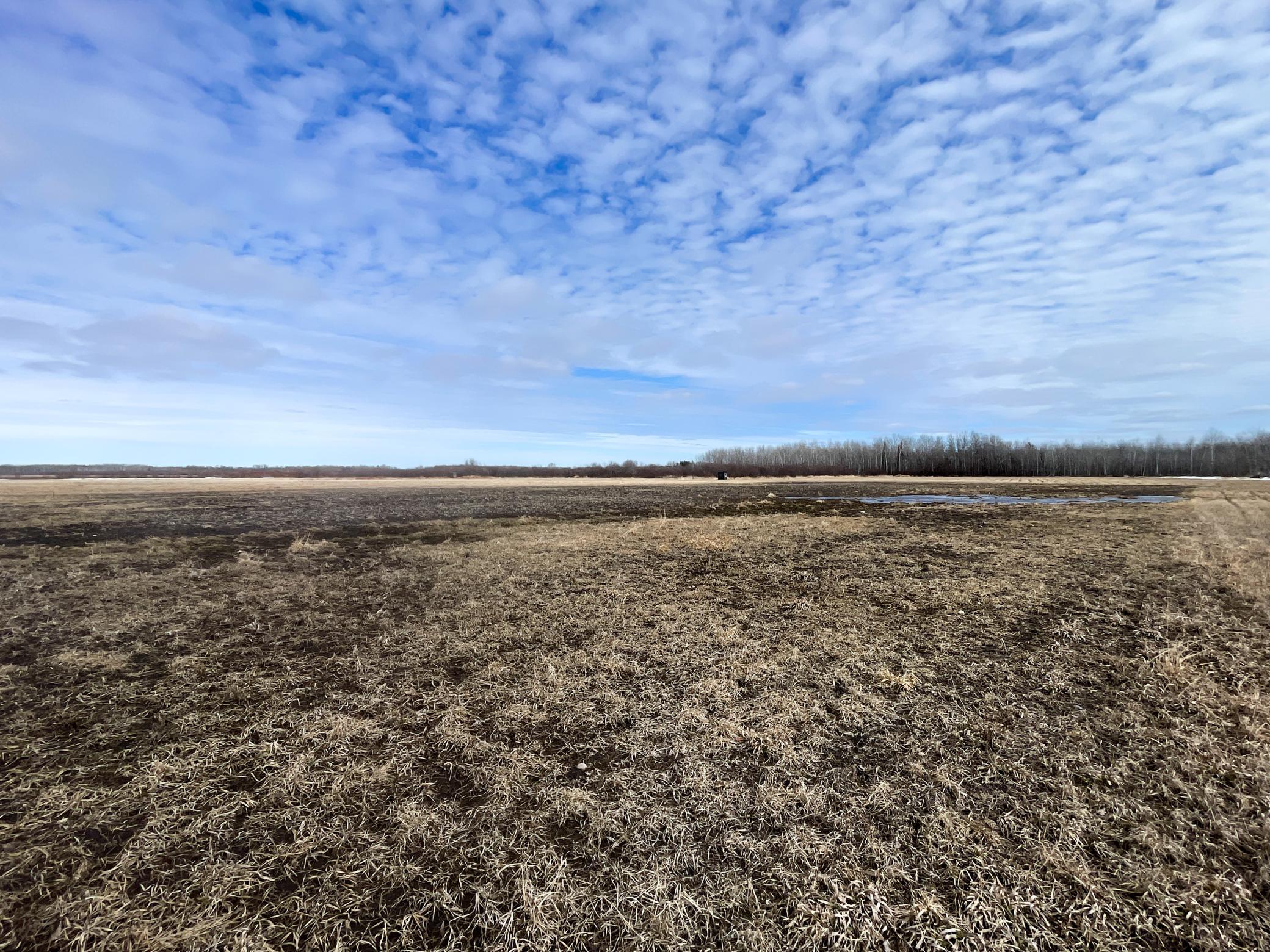 land for sale at 3228 County Road 1 SW in Baudette, MN (photo 43 of 67)